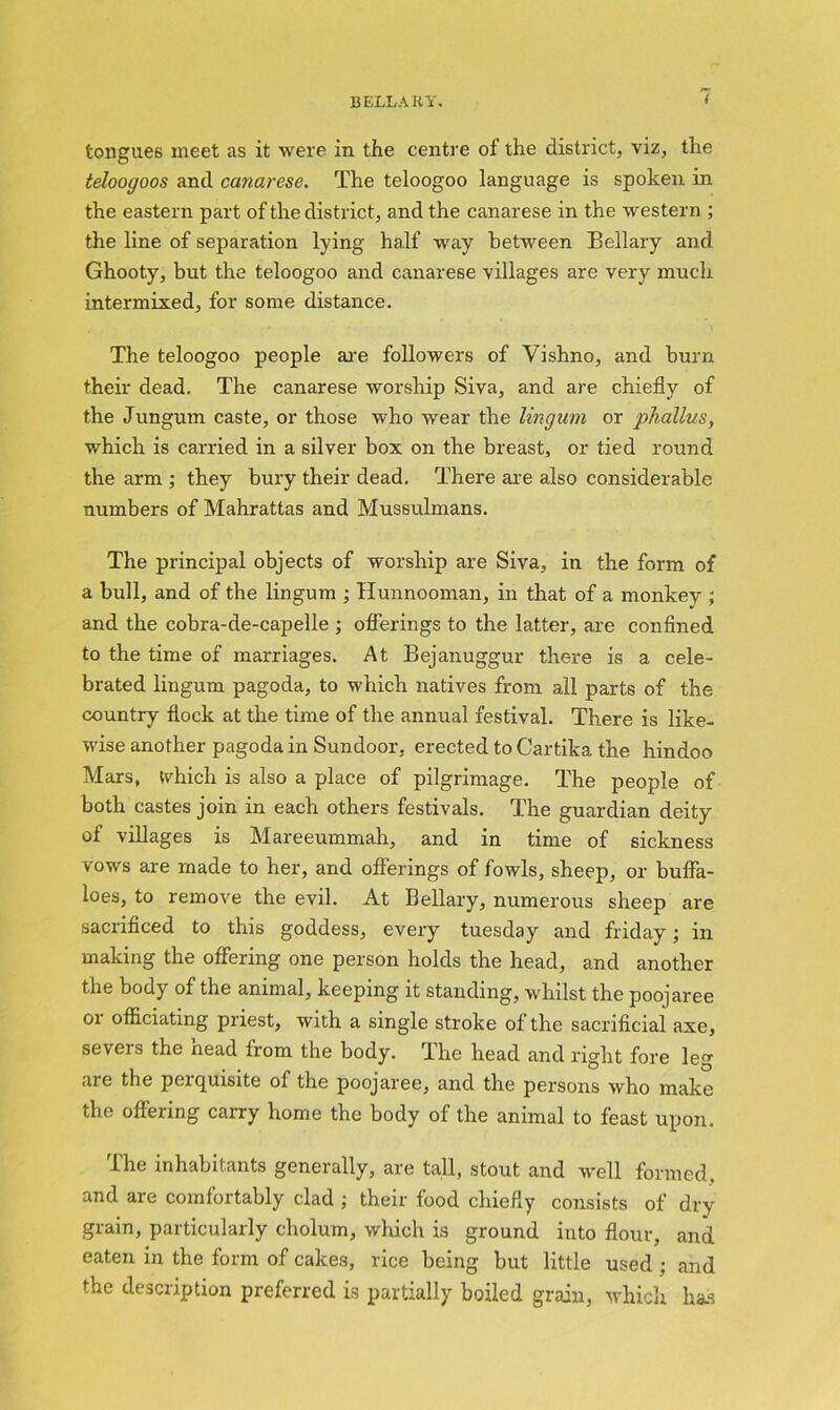 tongues meet as it were in the centre of the district, viz, the teloogoos and canarese. The teloogoo language is spoken in the eastern part of the district, and the canarese in the western ; the line of separation lying half way between Bellary and Ghooty, but the teloogoo and canarese villages are very much intermixed, for some distance. The teloogoo people are followers of Vishno, and burn their dead. The canarese worship Siva, and are chiefly of the Jungum caste, or those who wear the lingum or phallus, which is carried in a silver box on the breast, or tied round the arm ; they bury their dead. There are also considerable numbers of Mahrattas and Mussulmans. The principal objects of worship are Siva, in the form of a bull, and of the lingum ; Hunnooman, in that of a monkey ; and the cobra-de-capelle ; offerings to the latter, are confined to the time of marriages. At Bejanuggur there is a cele- brated lingum pagoda, to which natives from all parts of the country flock at the time of the annual festival. There is like- wise another pagoda in Sundoor, erected to Cartika the hindoo Mars, which is also a place of pilgrimage. The people of both castes join in each others festivals. The guardian deity of villages is Mareeummah, and in time of sickness vows are made to her, and offerings of fowls, sheep, or buffa- loes, to remove the evil. At Bellary, numerous sheep are sacrificed to this goddess, every tuesday and friday; in making the offering one person holds the head, and another the body of the animal, keeping it standing, whilst the poojaree or officiating priest, with a single stroke of the sacrificial axe, severs the nead from the body. The head and right fore leg are the perquisite of the poojaree, and the persons who make the offering carry home the body of the animal to feast upon. The inhabitants generally, are tall, stout and well formed, and are comfortably clad ; their food chiefly consists of dry grain, particularly cholum, which is ground into flour, and eaten in the form of cakes, rice being but little used; and the description preferred is partially boiled grain, which has