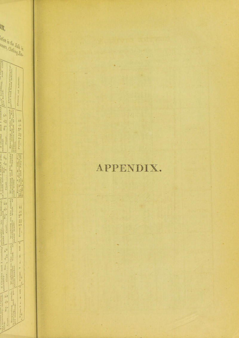 APPENDIX.