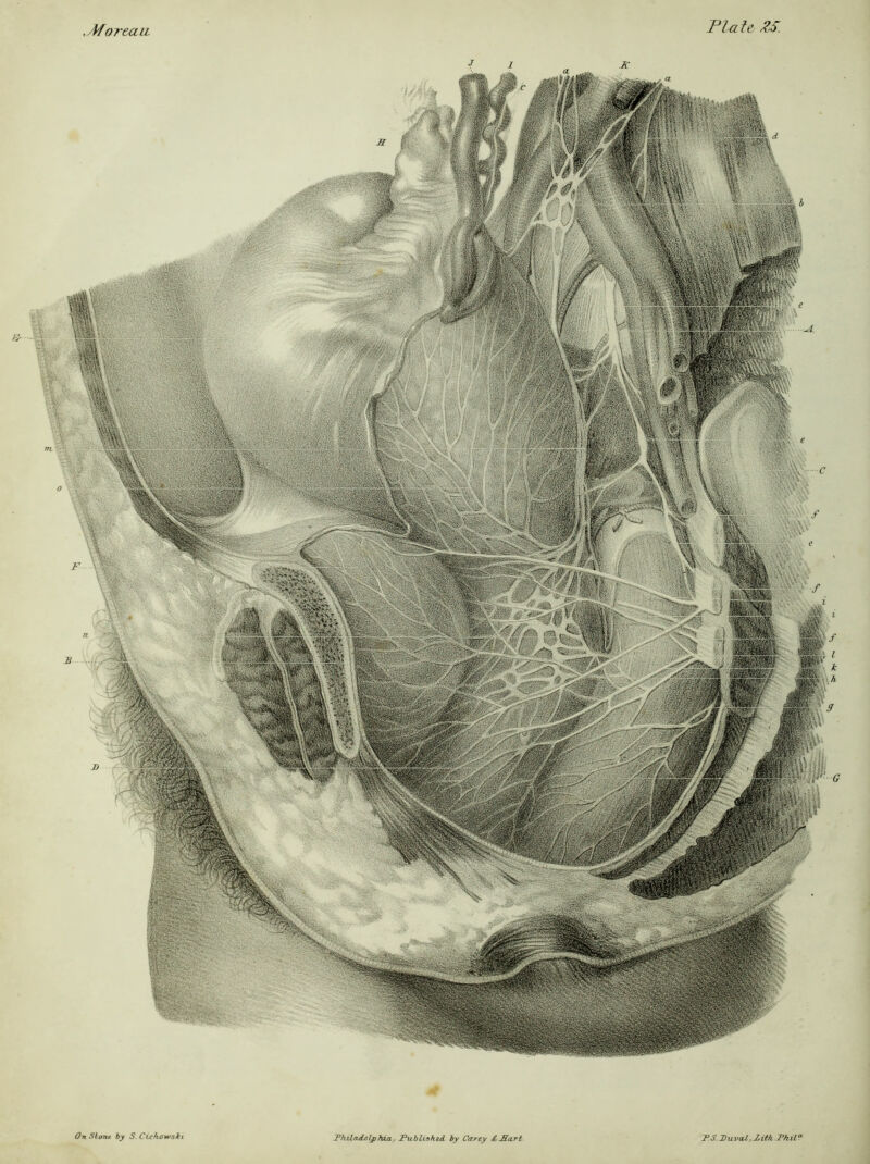 /Wareau Plate ZS. On Shone, by S. Cichowski Philadeljjtua, Publiskzd by Carey &PIa.Tt PS.DiLval,Pith Phila