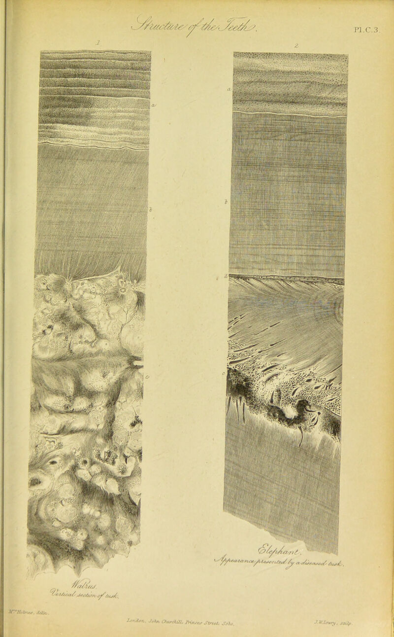 U/.f c-J^'/„j^ if- Hotnit\T. ffi'/in ri„ir.-).ill- ]-rin,,-.r ifT fl/