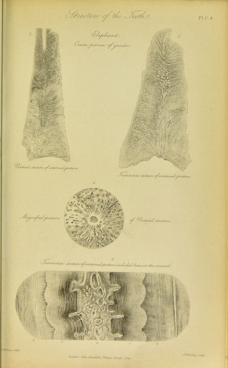 d^U/h J. U'L< \ j 1 I i • ii r.cnJi'n.. John. Churchills, ftvuxr Street.. Soho. ’>*7y .r.-ti7fh