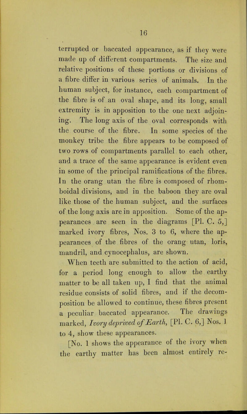 terrupted or baccated appearance, as if they were made up of different compartments. The size and relative positions of these portions or divisions of a fibre differ in various series of animals. In the human subject, for instance, each compartment of the fibre is of an oval shape, and its long, small extremity is in apposition to the one next adjoin- ing. The long axis of the oval corresponds with the course of the fibre. In some species of the monkey tribe the fibre appears to be composed of two rows of compartments parallel to each other, and a trace of the same appearance is evident even in some of the principal ramifications of the fibres. In the orang utan the fibre is composed of rhom- boidal divisions, and in the baboon they are oval like those of the human subject, and the surfaces of the long axis are in apposition. Some of the ap- pearances are seen in the diagrams [PI. C. 5,] marked ivory fibres, Nos. 3 to 6, where the ap- pearances of the fibres of the orang utan, loris, mandril, and cynocephalus, are shown. When teeth are submitted to the action of acid, for a period long enough to allow the earthy matter to be all taken up, I find that the animal residue consists of solid fibres, and if the decom- position be allowed to continue, these fibres present a peculiar baccated appearance. The drawings marked. Ivory deprived of Earth, [PI. C. 6,] Nos. 1 to 4, show these appearances. [No. I shows the appearance of the ivory when the earthy matter has been almost entirely re-