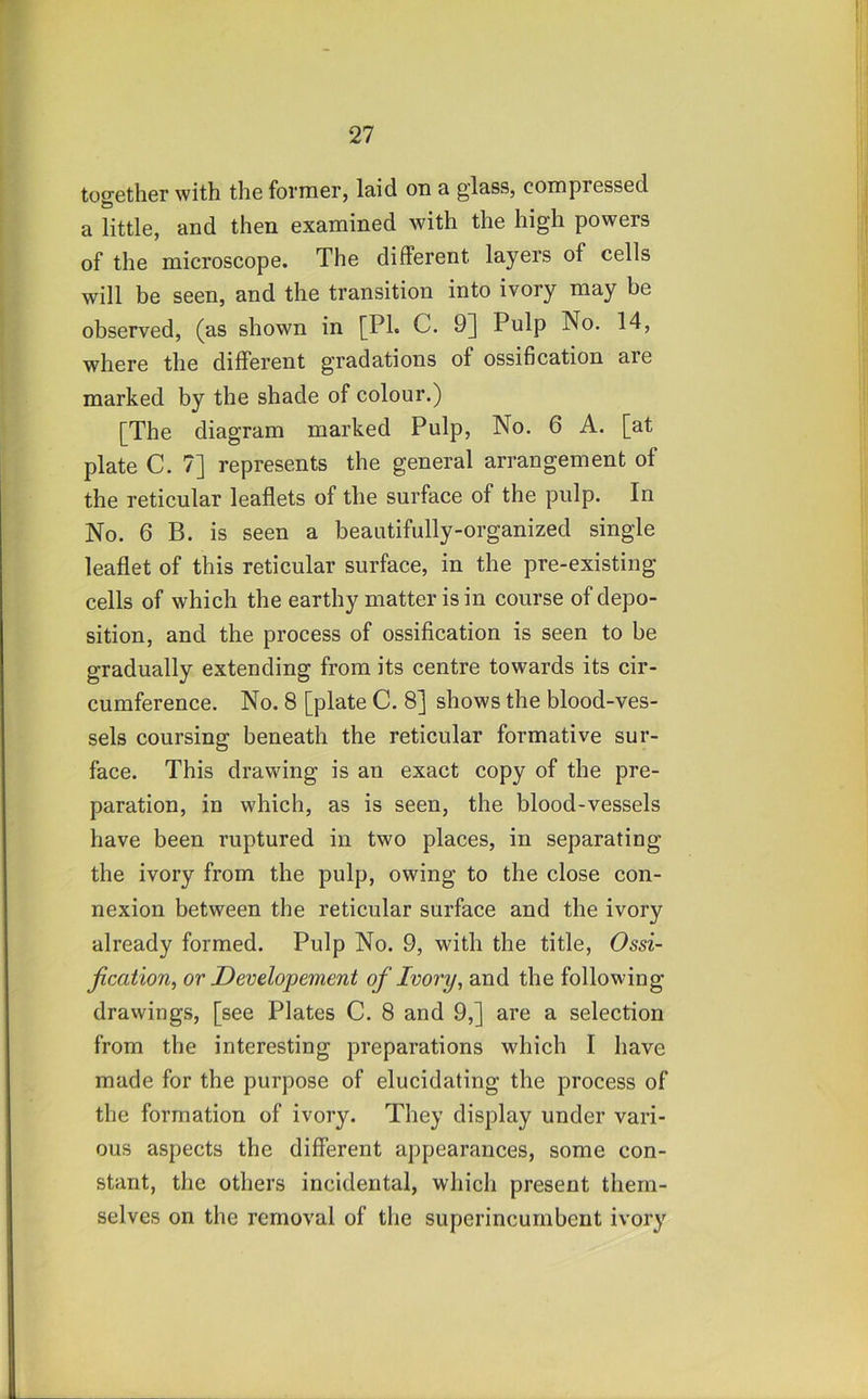 together with the former, laid on a glass, compressed a little, and then examined with the high powers of the microscope. The different layers of cells will be seen, and the transition into ivory may be observed, (as shown in [PL C. 9] Pulp No. 14, where the different gradations of ossification are marked by the shade of colour.) [The diagram marked Pulp, No. 6 A. [at plate C. 7] represents the general arrangement of the reticular leaflets of the surface of the pulp. In No. 6 B. is seen a beautifully-organized single leaflet of this reticular surface, in the pre-existing cells of which the earthy matter is in course of depo- sition, and the process of ossification is seen to be gradually extending from its centre towards its cir- cumference. No. 8 [plate C. 8] shows the blood-ves- sels coursing beneath the reticular formative sur- face. This dravv'ing is an exact copy of the pre- paration, in which, as is seen, the blood-vessels have been ruptured in two places, in separating the ivory from the pulp, owing to the close con- nexion between the reticular surface and the ivory already formed. Pulp No. 9, with the title, Ossi- fication, or Developement of Ivory, and the following drawings, [see Plates C. 8 and 9,] are a selection from the interesting preparations which I have made for the purpose of elucidating the process of the formation of ivory. They display under vari- ous aspects the different appearances, some con- stant, the others incidental, which present them- selves on the removal of the superincumbent ivory