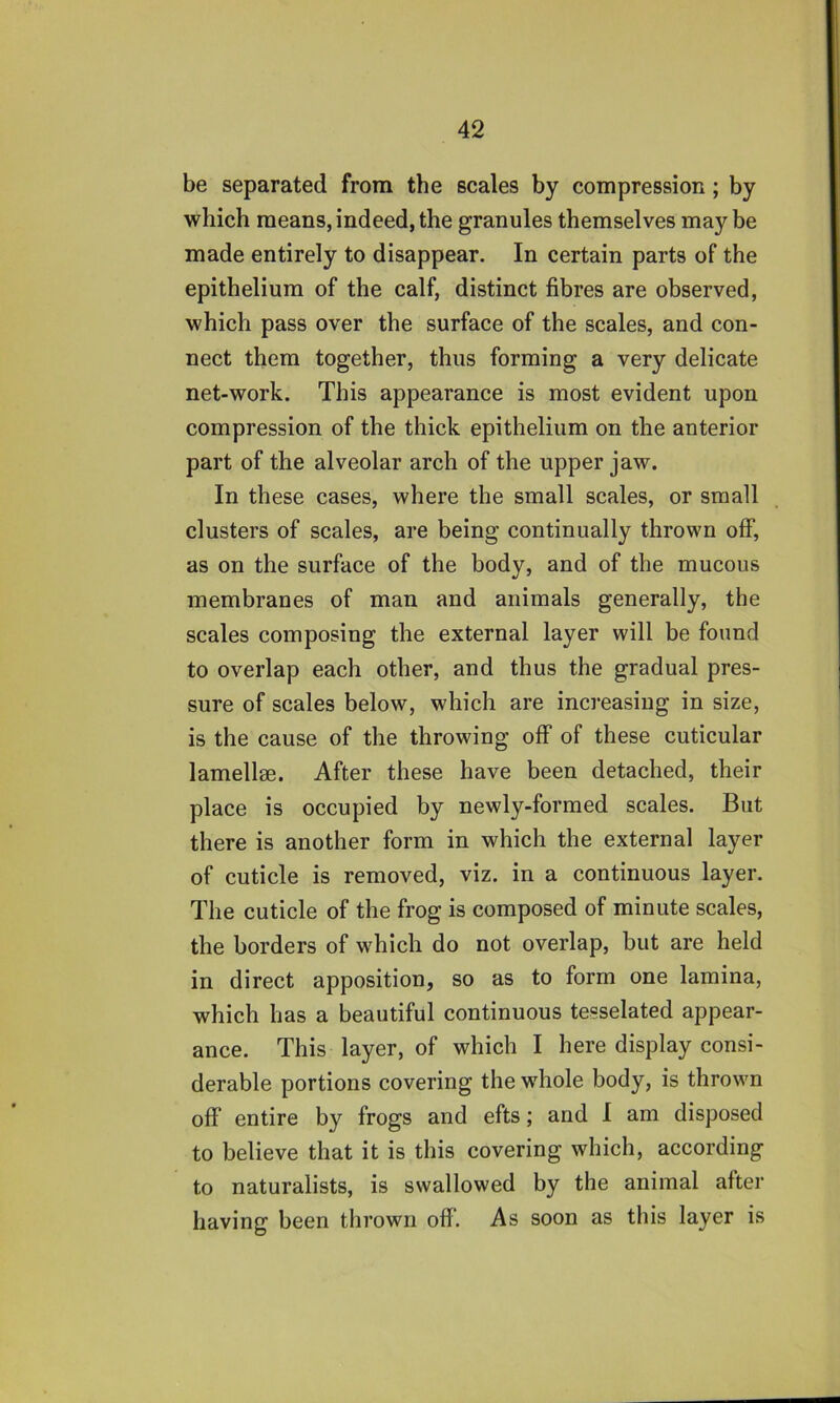 be separated from the scales by compression; by which means, indeed, the granules themselves may be made entirely to disappear. In certain parts of the epithelium of the calf, distinct fibres are observed, which pass over the surface of the scales, and con- nect them together, thus forming a very delicate net-work. This appearance is most evident upon compression of the thick epithelium on the anterior part of the alveolar arch of the upper jaw. In these cases, where the small scales, or small clusters of scales, are being continually thrown off, as on the surface of the body, and of the mucous membranes of man and animals generally, the scales composing the external layer will be found to overlap each other, and thus the gradual pres- sure of scales below, which are increasing in size, is the cause of the throwing off of these cuticular lamellae. After these have been detached, their place is occupied by newly-formed scales. But there is another form in which the external layer of cuticle is removed, viz. in a continuous layer. The cuticle of the frog is composed of minute scales, the borders of which do not overlap, but are held in direct apposition, so as to form one lamina, which has a beautiful continuous tesselated appear- ance. This layer, of which I here display consi- derable portions covering the whole body, is thrown off entire by frogs and efts; and I am disposed to believe that it is this covering which, according to naturalists, is swallowed by the animal after having been thrown off‘. As soon as this layer is