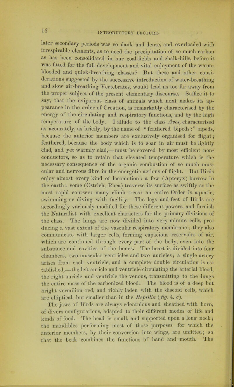 IG INTRODUCTORY LECTURE. later secondary periods was so dank and dense, and overloaded with irrespirable elements, as to need the precipitation of so much carbon as has been consolidated in our coal-fields and chalk-hills, before it was fitted for the full development and vital enjoyment of the warm- blooded and quick-breathing classes? But these and other consi- derations suggested by the successive introduction of water-breathing and slow air-breathing Vertebrates, would lead us too far away from the proper subject of the present elementary discourse. Suffice it to say, that the oviparous class of animals which next makes its ap- pearance in the order of Creation, is remarkably characterised by the energy of the circulating and respiratory functions, and by the high temperature of the body. I allude to the class Aves, characterised as accurately, as brieffy, by the name of “ feathered bipeds: ” bipeds, because the anterior members are exclusively organised for flight; feathered, because the body which is to soar in air must be lightly clad, and yet warmly clad,— must be covered by most efficient non- conductors, so as to retain that elevated temperature which is the necessary consequence of the organic combustion of so raucli mus- cular and nervmus fibre in the energetic actions of flight. But Birds enjoy almost every kind of locomotion : a few (Apteryx) burrow in the earth: some (Ostrich, Rhea) traverse its surface as swiftly as the most rapid courser; many climb trees: an entire Order is aquatic, swimming or diving with facility. The legs and feet of Birds are accordingly variously modified for these different powers, and furnish the Naturalist with excellent characters for the primary divisions of the class. The lungs are now divided into very minute cells, pro- ducing a vast extent of the vascular respiratory membrane ; they also communicate with lai'ger cells, forming capacious reservoirs of air, which are continued through every part of the body, even into the substance and cavities of the bones. The heart is divided into four chambers, two muscular ventricles and two auricles; a single artery arises from each ventricle, and a complete double circulation is es- tablished,—the left auricle and ventricle circulating the arterial blood, the right aui-icle and ventricle the venous, transmitting to the lungs the entire mass of the carbonized blood. The blood is of a deep but bright vermilion red, and richly laden with the discoid cells, which are elliptical, but smaller than in the Beptilia (Jiff. 4. c). The jaws of Birds ai’e always edentulous and sheathed with horn, of divers configurations, adapted to their different modes of life and kinds of food. The head is small, and supported upon a long neck ; the mandibles performing most of those purposes for which the anterior members, by their conversion into Avings, are unfitted; so that the beak combines the functions of hand and mouth. The