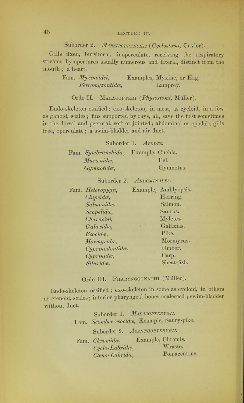 LiiCTDUE nr. Suborder 2. Marsipobuanciiii {Cyclostomi, Cuvier). Gills fixed, bursiform, inoperculate, receiving the respiratory- streams by apertures usually numerous and lateral, distinct from the mouth ; a heart. Fam. Myxinoidei, Examples, Myxine, or Hag. Petromyzontidce, Lamprey. Ordo II. Malacopteki (^Physostomi, Muller), Endo-skeleton ossified; exo-skeleton, in most, as cycloid, in a few as ganoid, scales; fins supported by rays, all, save the first sometimes in the dorsal and pectoral, soft or jointed; abdominal or apodal; gills free, operculate; a swim-bladder and air-duct. Suborder 1. Abodes. Fam. SymbranchidcB, Example, Cuchia. Muramidce, Eel. Giymnotidce, Gymnotus. Suborder 2. Aedominales. Fam, PEeteropygii, Example, Amblyopsis. Clupeidce, Herring. SalmonidcB, Salmon. Scopelida, Saurus. Characini, Myletes. Galaxidce, Galaxias. Esocidce, Pike. Mormyridce, IMormyrus. Cyprinodontidce, Umber. Cyjyrinidce, Carp. Siluridce, Sheat-fish. Ordo III. Pharyngognathi (Muller). Endo-skeleton ossified ; exo-skeleton in some as cycloid, in others as ctenoid, scales; inferior pharyngeal bones coalesced ; swim-bladder without duct. Suborder 1. Malacopterygii. Fam. Scomher-esocidce, Example, Saury-pike. Suborder 2. Acanthopterygii. Fam. ChromidcE, Example, Cbromis. Cyclo-Lahridcc, Wrasse. Clcno-Pohridcp, Pomacentrus.