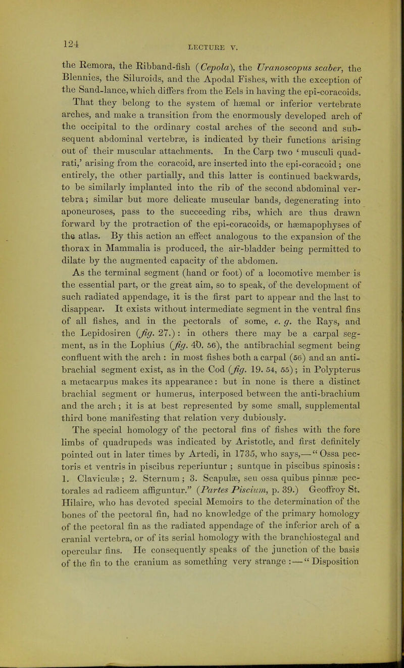 LECTURE V. the Remora, the Ribband-fish (^Cepola), the Uranoscopus scaber, the Blennies, the Siluroids, and the Apodal Fishes, with the exception of the Sand-lance, which difiers from the Eels in having the epi-coracoids. That they belong to the system of hsemal or inferior vertebrate arches, and make a transition from the enormously developed arch of the occipital to the ordinary costal arches of the second and sub- sequent abdominal vertebrae, is indicated by their functions arising out of their muscular attachments. In the Carp two ‘ musculi quad- rat!,’ arising from the coracoid, are inserted into the epi-coracoid; one entirely, the other partially, and this latter is continued backwards, to be similarly implanted into the rib of the second abdominal ver- tebra; similar but more delicate muscular bands, degenerating into aponeuroses, pass to the succeeding ribs, which are thus drawn forward by the protraction of the epi-coracoids, or haemapophyses of the atlas. By this action an effect analogous to the expansion of the thorax in Mammalia is produced, the air-bladder being permitted to dilate by the augmented capacity of the abdomen. As the terminal segment (hand or foot) of a locomotive member is the essential part, or the great aim, so to speak, of the development of such radiated appendage, it is the first part to appear and the last to disappear. It exists without intermediate segment in the ventral fins of all fishes, and in the pectorals of some, e. g. the Rays, and the Lepidosiren {fig. 27.) : in others there may be a carpal seg- ment, as in the Lophius {fig. 4D. 56), the antibrachial segment being confiuent with the arch : in most fishes both a carpal (se) and an anti- brachial segment exist, as in the Cod {fig. 19. 54, 55); in Polypterus a metacarpus makes its appearance: but in none is there a distinct brachial segment or humerus, interposed between the anti-brachium and the arch; it is at best represented by some small, supplemental third bone manifesting that relation very dubiously. The special homology of the pectoral fins of fishes with the fore limbs of quadrupeds was indicated by Aristotle, and first definitely pointed out in later times by Artedi, in 1735, who says,— “ Ossa pec- toris et ventris in piscibus reperiuntur ; suntque in piscibus spinosis: 1. Claviculae; 2. Sternum; 3. Scapulas, seu ossa quibus pinnce pec- torales ad radicem affiguntur.” {Partes Piscium, p. 39.) Geoflfroy St. Hilaire, who has devoted special Memoirs to the determination of the bones of the pectoral fin, had no knowledge of the primary homology of the pectoral fin as the radiated appendage of the inferior arch of a cranial vertebra, or of its serial homology with the branchiostegal and opercular fins. He consequently speaks of the junction of the basis of the fin to the cranium as something very strange : — “ Disposition