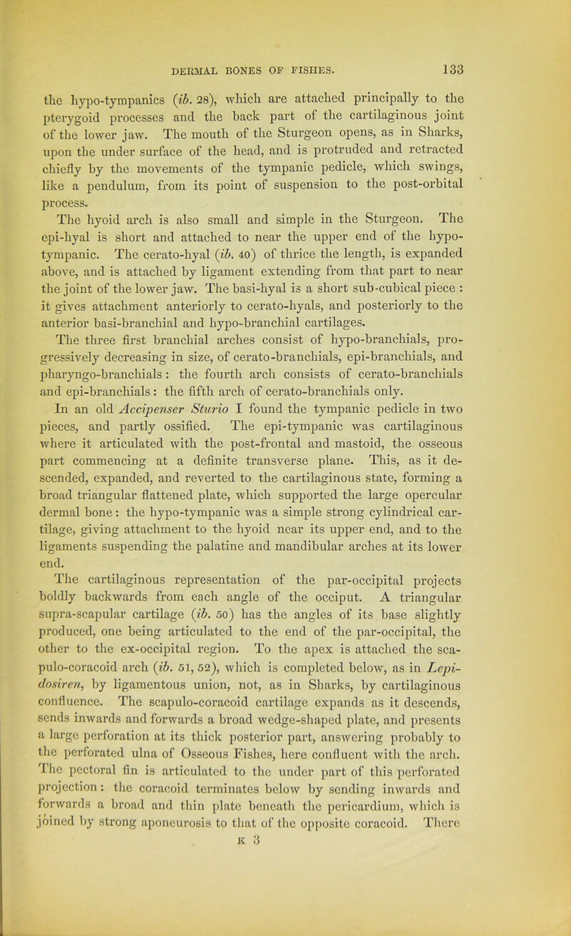 tlic hypo-tympanics {ib. 28), which are attached principally to the pterygoid processes and the back part of the cartilaginous joint of the lower jaw. The mouth of the Sturgeon opens, as in Sharks, upon the under surface of the head, and is protruded and retracted chiefly by the movements of the tympanic pedicle, which swings, like a pendulum, from its point of suspension to the post-orbital process. Tlie hyoid arch is also small and simple in the Sturgeon. The epi-hyal is short and attached to near the upper end of the hypo- tympanic. The cerato-hyal (ib. 4o) of thrice the length, is expanded above, and is attached by ligament extending from that part to near the joint of the lower jaw. The basi-hyal is a short sub-cubical piece : it gives attachment anteriorly to cerato-hyals, and posteriorly to the anterior basi-branchial and hypo-branchial cartilages. The three first branchial arches consist of hypo-branchials, pro- gressively decreasing in size, of cerato-branchials, epi-branchials, and pharyngo-branchials: the fourth arch consists of cerato-branchials and epi-branchials: the fifth arch of cerato-branchials only. In an old Accipenser Sturio I found the tympanic pedicle in two pieces, and partly ossified. The epi-tympanic was cartilaginous where it articulated with the post-frontal and mastoid, the osseous part commencing at a definite transverse plane. This, as it de- scended, expanded, and reverted to the cartilaginous state, forming a broad triangular flattened plate, which supported the large opercular dermal bone: the hypo-tympanic was a simple strong cylindrical car- tilage, giving attachment to the hyoid near its upper end, and to the ligaments suspending the palatine and mandibular arches at its lower end. The cartilaginous representation of the par-occipital projects boldly backwards from each angle of the occiput. A triangular supra-scapular cartilage (ib. so) has the angles of its base slightly produced, one being articulated to the end of the par-occipital, the other to the ex-occipital region. To the apex is attached the sca- pulo-coracoid arch (ib. 51, 52), which is completed below, as in Lcjn- dosiren, by ligamentous union, not, as in Sharks, by cartilaginous confluence. The scapulo-coracoid cartilage expands as it descends, sends inwards and forwards a broad wedge-shaped plate, and presents a large perforation at its thick posterior part, answering probably to the perforated ulna of Osseous Fishes, here confluent Avith the arch. The pectoral fin is articulated to the under pai’t of this perforated projection: the coracoid terminates below by sending inwai’ds and forwards a broad and thin plate beneath the pericardium, which is joined by strong aponeurosis to that of the opposite coracoid. There