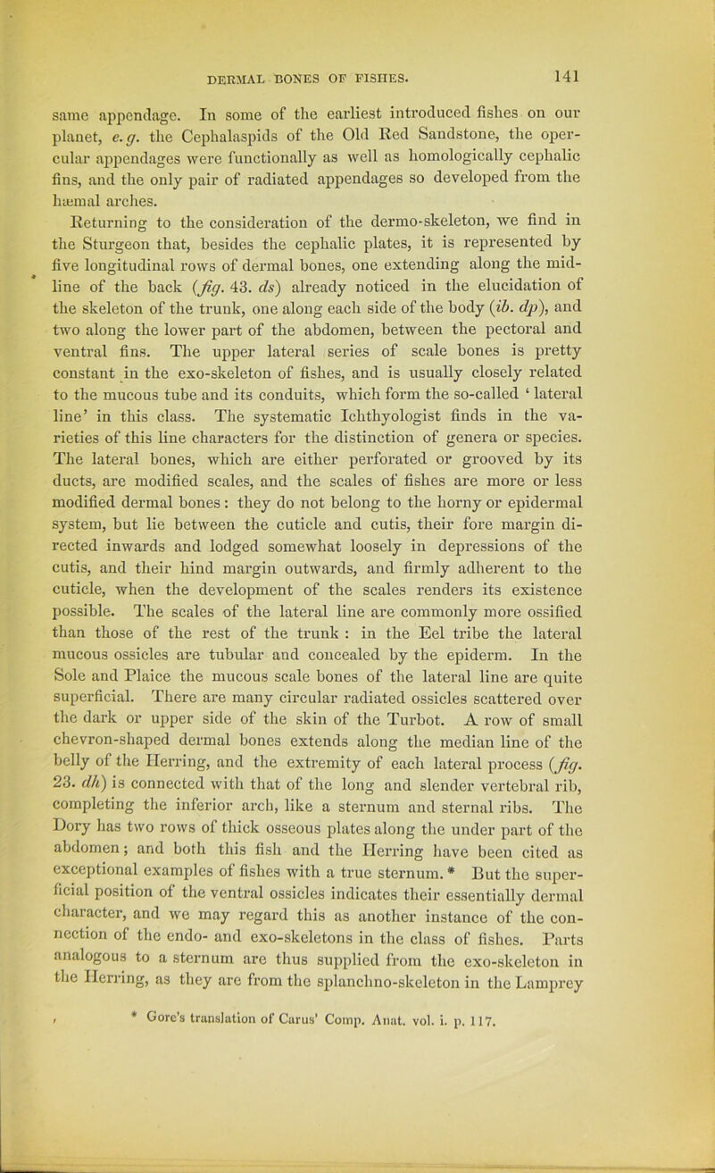 same appendage. In some of the earliest introduced fishes on our planet, e.g. the Cephalaspids of the Old Red Sandstone, the oper- cular appendages were functionally as well as homologically cephalic fins, and the only pair of radiated appendages so developed from the luemal arches. Returning to the consideration of the dermo-skeleton, we find in the Sturgeon that, besides the cephalic plates, it is represented by five longitudinal rows of dermal bones, one extending along the mid- line of the back {fig. 43. ds') already noticed in the elucidation of the skeleton of the trunk, one along each side of the body {ih. dp), and two along the lower part of the abdomen, between the pectoral and ventral fins. The upper lateral series of scale bones is pretty constant in the exo-skeleton of fishes, and is usually closely related to the mucous tube and its conduits, which form the so-called ‘ lateral line’ in this class. The systematic Ichthyologist finds in the va- rieties of this line characters for the distinction of genera or species. The lateral bones, which are either perforated or grooved by its ducts, are modified scales, and the scales of fishes are more or less modified dermal bones: they do not belong to the horny or epidermal system, but lie between the cuticle and cutis, their fore margin di- rected inwards and lodged somewhat loosely in depressions of the cutis, and their hind margin outwards, and firmly adherent to the cuticle, when the development of the scales renders its existence possible. The scales of the lateral line are commonly more ossified than those of the rest of the trunk : in the Eel tribe the lateral mucous ossicles are tubular and concealed by the epiderm. In the Sole and Plaice the mucous scale bones of the lateral line are quite superficial. There are many circular radiated ossicles scattered over the dark or upper side of the skin of the Turbot. A row of small chevron-shajied dermal bones extends along the median line of the belly of the Herring, and the extremity of each lateral process {fig. 23. dli) is connected with that of the long and slender vertebral rib, completing the inferior ai’ch, like a sternum and sternal ribs. The Dory has two rows of thick osseous plates along the under part of the abdomen; and both this fish and the Pierring liave been cited as exceptional examples of fishes with a true sternum. • But the super- ficial position of the ventral ossicles indicates their essentially dermal character, and we may regard this as another instance of the con- nection of the endo- and exo-skeletons in the class of fishes. Parts analogous to a sternum are thus supplied from the exo-skeleton in the Herring, as they are from the splanchno-skeleton in the Lamprey * Gore’s translation of Cams’ Comp. Anat. vol. i. p. 117.
