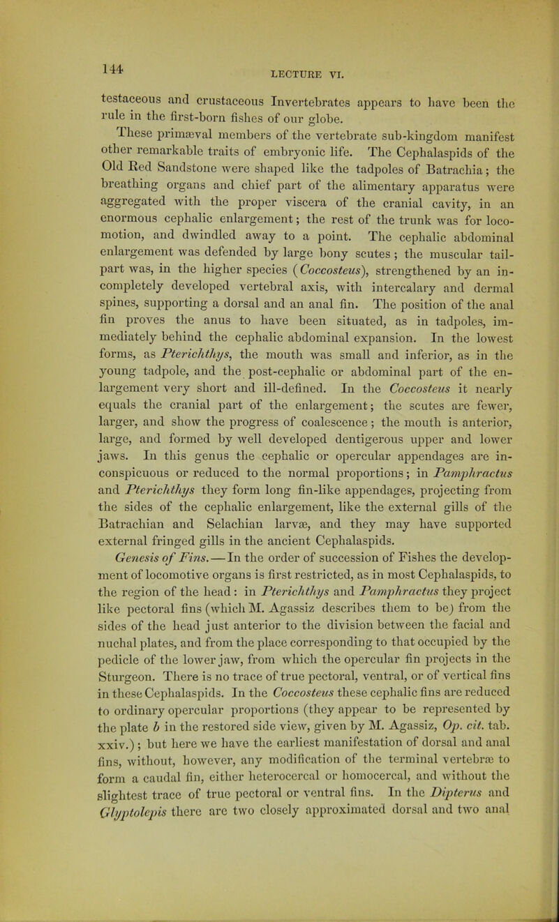 144- lecture VI. testaceous and crustaceous Invertebrates appears to have been the rule in the first-born fishes of our globe. Ihese prima3val members of the vertebrate sub-kingdom manifest other remarkable traits of embryonic life. The Cephalaspids of the Old Eed Sandstone were shaped like the tadpoles of Batrachia; the breathing organs and chief part of the alimentary apparatus were aggregated with the proper viscera of the cranial cavity, in an enormous cephalic enlargement; the rest of the trunk was for loco- motion, and dwindled away to a point. The cephalic abdominal enlargement was defended by large bony scutes; the muscular tail- part was, in the higher species (^Coccosteus^, strengthened by an in- completely developed vertebral axis, with intercalary and dermal spines, supporting a dorsal and an anal fin. The position of the anal fin proves the anus to have been situated, as in tadpoles, im- mediately behind the cephalic abdominal expansion. In the lowest forms, as Pterichthys, the mouth was small and inferior, as in the young tadpole, and the post-cephalic or abdominal part of the en- largement very short and ill-defined. In the Coccosteus it nearly equals the cranial part of the enlargement; the scutes are fewer, larger, and show the progress of coalescence; the mouth is anterior, large, and formed by well developed dentigerous upper and lower jaws. In this genus the cephalic or opercular appendages are in- conspicuous or reduced to the normal proportions; in Pamphractus and Pterichthys they form long fin-like appendages, projecting from the sides of the cephalic enlargement, like the external gills of the Batrachian and Selachian larvae, and they may have supported external fringed gills in the ancient Cephalaspids. Genesis of Fins. — In the order of succession of Fishes the develop- ment of locomotive organs is first restricted, as in most Cephalaspids, to the region of the head: in Pterichthys and Pamphractus they project like pectoral fins (vvhich M. Agassiz describes them to be) from the sides of the head just anterior to the division between the facial and nuchal plates, and from the place corresponding to that occupied by the pedicle of the lower jaw, from which the opercular fin projects in the Sturgeon. There is no trace of true pectoral, ventral, or of vertical fins in these Cephalaspids. In the Coccosteus these cephalic fins are reduced to ordinary opercular proportions (they appear to be represented by the plate h in the restored side view, given by M. Agassiz, Op. cit. tab. xxiv.) ; but here we have the earliest manifestation of dorsal and anal fins, without, however, any modification of the terminal vertebra3 to form a caudal fin, either heterocercal or homocercal, and without the slightest trace of true pectoral or ventral fins. In the Dipterus and Qhyptolcpis there are two closely approximated dorsal and two anal