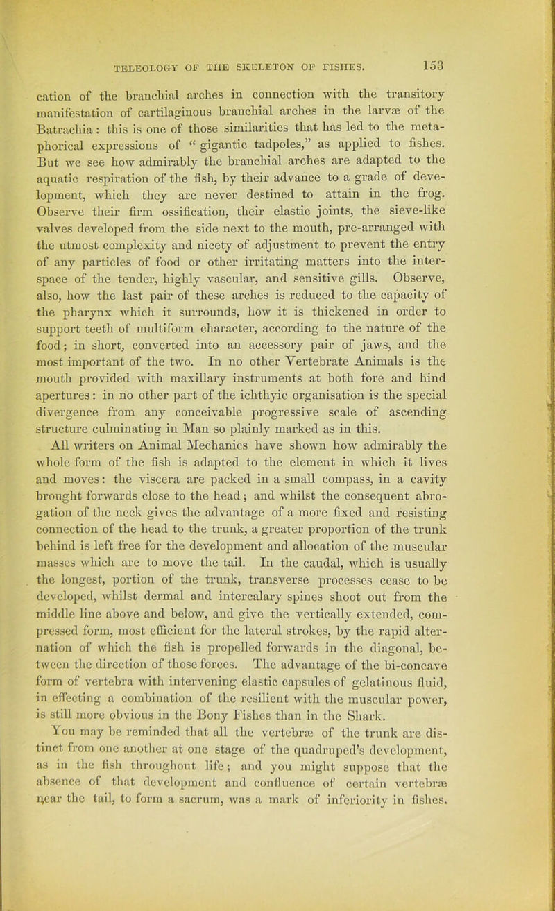 cation of the branchial arches in connection with the transitory manifestation of cartilaginous branchial arches in the larvas of the Batrachia : this is one of those similarities that has led to the meta- phorical expressions of “ gigantic tadpoles,” as applied to fishes. But we see how admirably the branchial arches are adapted to the aquatic respiration of the fish, by their advance to a grade of deve- lopment, which they are never destined to attain in the frog. Observe their firm ossification, their elastic joints, the sieve-like valves developed from the side next to the month, pre-arranged with the utmost complexity and nicety of adjustment to prevent the entry of any particles of food or other irritating matters into the inter- space of the tender, highly vascular, and sensitive gills. Observe, also, how the last pair of these arches is reduced to the capacity of the pharynx which it surrounds, how it is thickened in order to support teeth of multiform character, according to the nature of the food; in short, converted into an accessory pair of jaws, and the most important of the two. In no other Vertebrate Animals is the mouth provided with maxillary instruments at both fore and hind apertures; in no other part of the ichthyic organisation is the special divergence from any conceivable progi’essive scale of ascending structure culminating in Man so plainly marked as in this. All writers on Animal Mechanics have shown how admirably the whole form of the fish is adapted to the element in which it lives and moves: the viscera are packed in a small compass, in a cavity brought forwards close to the head; and w^hilst the consequent abro- gation of the neck gives the advantage of a more fixed and resisting connection of the head to the trunk, a greater proportion of the trunk behind is left free for the development and allocation of the muscular masses which are to move the tail. In the caudal, which is usually the longest, portion of the trunk, transverse processes cease to be developed, whilst dermal and intercalary spines shoot out from the middle line above and below, and give the vertically extended, com- pressed form, most efficient for the lateral strokes, by the rapid alter- nation of which the fish is propelled forwards in the diagonal, be- tween the direction of those forces. The advantage of the bi-concave form of vertebra with intervening elastic capsules of gelatinous fluid, in effecting a combination of the resilient with the muscular power, is still more obvious in the Bony Fishes than in the Shark. You may be reminded that all the vertebra3 of the trunk are dis- tinct from one another at one stage of the quadruped’s development, as in the fish tlu-oughout life; and you might suppose that the absence of that development and confluence of certain vertcbraj near the tail, to form a sacrum, was a mark of inferiority in fishes.