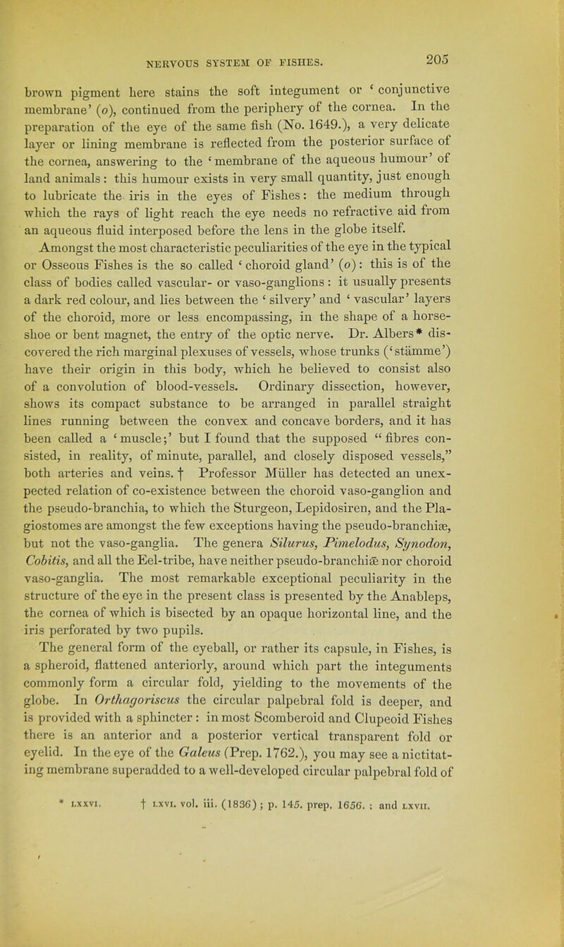 brown pigment here stains the soft integument or ‘ conjunctive membrane’ (o), continued from the periphery of the cornea. In the preparation of the eye of the same fish (No. 1649.), a very delicate layer or lining membrane is reflected from the posterior surface of the cornea, answering to the ‘ membrane of the aqueous humour of land animals : this humour exists in very small quantity, just enough to lubricate the iris in the eyes of Fishes: the medium through which the rays of light reach the eye needs no refractive aid from an aqueous fluid interposed before the lens in the globe itself. Amongst the most characteristic peculiarities of the eye in the typical or Osseous Fishes is the so called ‘ choroid gland’ (o): this is of the elass of bodies called vascular- or vaso-ganglions : it usually presents a dark red colour, and lies between the ‘ silvery’ and ‘ vascular’ layers of the choroid, more or less encompassing, in the shape of a horse- shoe or bent magnet, the entry of the optic nerve. Dr. Albers* dis- covered the rich marginal plexuses of vessels, whose trunks (‘stamme’) have their origin in this body, which he believed to consist also of a convolution of blood-vessels. Ordinary dissection, however, shows its compact substance to be arranged in parallel straight lines running between the convex and concave borders, and it has been called a ‘ muscle; ’ but I found that the supposed “ fibres con- sisted, in reality, of minute, parallel, and closely disposed vessels,” both arteries and veins. Professor Muller has detected an unex- pected relation of co-existence between the choroid vaso-ganglion and the pseudo-branchia, to which the Sturgeon, Lepidosiren, and the Pla- giostomes are amongst the few exceptions having the pseudo-branchias, but not the vaso-ganglia. The genera Silurus, Pimelodus, Synodon, Cobitis, and all the Eel-tribe, have neither pseudo-branchiae nor choroid vaso-ganglia. The most i-emarkable exceptional peculiarity in the structure of the eye in the present class is presented by the Anableps, the cornea of which is bisected by an opaque horizontal line, and the iris perforated by two pupils. The general form of the eyeball, or rather its capsule, in Fishes, is a spheroid, flattened anteriorly, around which part the integuments commonly form a circular fold, yielding to the movements of the globe. In Orthagoriscus the circular palpebral fold is deeper, and is provided with a sphincter: in most Scomberoid and Clupeoid Fishes there is an anterior and a posterior vertical transparent fold or eyelid. In tlie eye of the Galeus (Prep. 1762.), you may see a nietitat- ing membrane superadded to a well-developed circular palpebral fold of • i.xxvi, t LXVI. vol. Hi. (1836) ; p. 145. prep. 1656. : and lxvii.