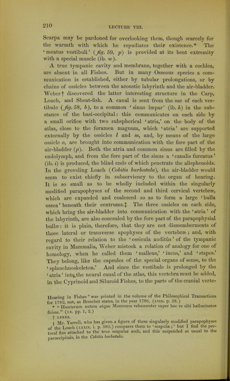 LECTURE VIII. Scarpa may be pardoned for overlooking them, though scarcely for the warmth with which he repudiates their existence.* The ‘ meatus vestibuli ’ 59, p) is provided at its bent extremity with a special muscle (ib. w). A true tympanic cavity and membrane, together with a cochlea, are absent in all Fishes. But in many Osseous species a com- munication is established, either by tubular prolongations, or by chains of ossicles between the acoustic labyrinth and the air-bladder. Weber f discovered the latter interesting structure in the Carp, Loach, and Sheat-fish. A canal is sent from the sac of each ves- tibule 58, h), to a common ‘ sinus impar’ (ib. li) in the sub- stance of the basi-occipital: this communicates on each side by a small orifice with two subspherical ‘atria,’ on the body of the atlas, close to the foramen magnum, which ‘atria’ are supported externally by the ossicles I and w, and, by means of the large ossicle 0, are brought into communication with the fore part of the air-bladder (p). Both the atria and common sinus are filled by the endolymph, and from the fore part of the sinus a ‘ canalis furcatus ’ (ib. i) is produced, the blind ends of which penetrate the alisphenoids. In the groveling Loach (Cobitis barbatula), the air-bladder would seem to exist chiefiy in subserviency to the organ of hearing. It is so small as to be wholly included within the singularly modified pai'apophyses of the second and third cervical vertebrge, Avhich are expanded and coalesced so as to form a large ‘bulla ossea ’ beneath their centrums.:}: The three ossicles on each side, which bring the air-bladder into communication with the ‘ atria ’ of the labyrinth, are also concealed by the fore part of the parapophysial bulla3: it is plain, therefore, that they are not dismemberments of those lateral or transverse apophyses of the vertebrae ; and, with regard to their relation to the ‘ ossicula auditus ’ of the tympanic cavity in Mammalia, Weber mistook a relation of analogy for one of homology, when he called them ‘ malleus,’ ‘ incus,’ and ‘ stapes.’ They belong, like the capsules of the special organs of sense, to the ‘ splanchnoskeleton.’ And since the vestibule is prolonged by the ‘ atria ’ int(^,the neural canal of the atlas, this vertebra must be added, in the Cyprinoid and Siluroid Fishes, to the parts of the cranial verte- Hearin<» in Fishes ” was printed in the volume of the Philosophical Transactions for 1782, not, as Breschet states, in the year 1786. (lviii. p. 58.) _ “ Hunterum autem atque Monroum vehementer super hac re sibi hallucinatos fiiisse.” (lx. pp. 1, 2.) I LX XIII. 1 Mr. Yarrell, who has given a figure of these singularly modified parapophyses of the Loach (lxxix. i. p. 380.) compares them to ‘scapulas; ’ but I find the pec- toral fins attached to the true scapular arch, and this suspended as usual to the paroccipitals, in the Colitis barbatula.