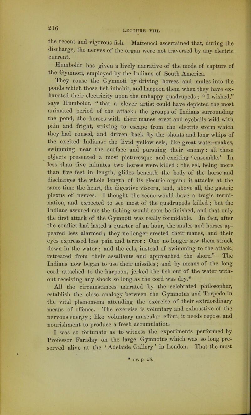 LECTURE VIII. the recent and vigorous fish. Matteucci ascertained that, during the discharge, the nerves of the organ were not traversed by any electric current. Humboldt has given a lively narrative of the mode of capture of the Gymnoti, employed by the Indians of South America. They rouse the Gymnoti by driving horses and mules into the ponds which those fish inhabit, and harpoon them when they have ex- hausted their electricity upon the unhappy quadrupeds ; “ I wished,” says Humboldt, “ that a clever artist could have depicted the most animated period of the attack: the groups of Indians surrounding the pond, the horses with their manes erect and eyeballs wild with pain and fright, striving to escape from the electric storm which they had roused, and driven back by the shouts and long whips of the excited Indians: the livid yellow eels, like great water-snakes, swimming near the surface and pursuing their enemy: all these objects presented a most picturesque and exciting ‘ ensemble.’ In less than five minutes two horses were killed : the eel, being more than five feet in length, glides beneath the body of the horse and discharges the whole length of its electric organ: it attacks at the same time the heart, the digestive viscera, and, above all, the gastric plexus of nerves. I thought the scene would have a tragic termi- nation, and expected to see most of the quadrupeds killed ; but the Indians assured me the fishing would soon be finished, and that only the first attack of the Gymnoti was really formidable. In fact, after the conflict had lasted a quarter of an hour, the mules and horses ap- peared less alarmed ; they no longer erected their manes, and their eyes expressed less pain and terror ; One no longer saw them struck down in the water ; and the eels, instead of swimming to the attack, retreated from their assailants and approached the shore.” The Indians now began to use their missiles; and by means of the long cord attached to the harpoon, jerked the fish out of the water with- out receiving any shock so long as the cord was dry.* All the circumstances narrated by the celebrated philosopher, establish the close analogy between the Gymnotus and Torpedo in the vital phenomena attending the exercise of their extraordinary means of offence. The exercise is voluntary and exhaustive of the nervous energy ; like voluntary muscular effort, it needs repose and nourishment to produce a fresh accumulation. I was so fortunate as to witness the experiments performed by Professor Faraday on the large Gymnotus which was so long pre- served alive at the ‘ Adelaide Gallery ’ in London. That the most cv. p 55.