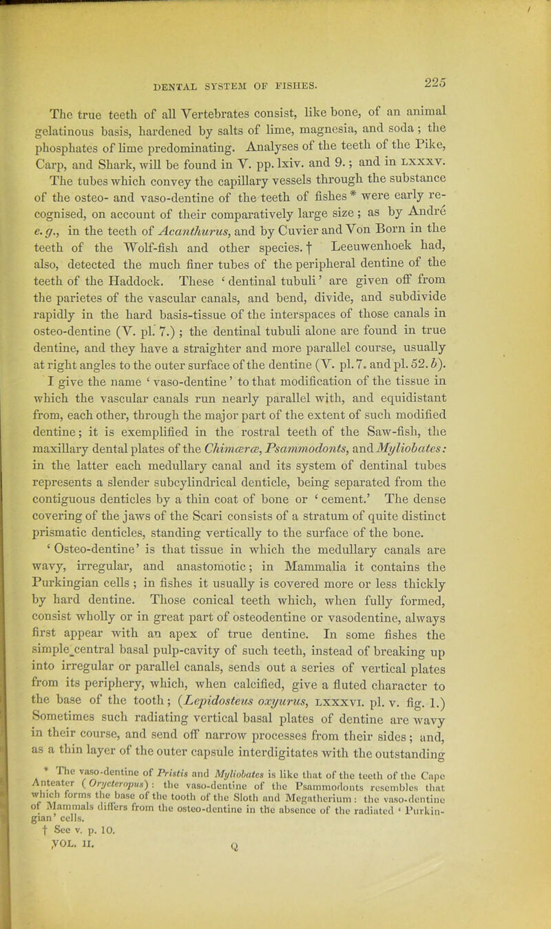 The true teeth of all Vertebrates consist, like bone, of an animal gelatinous basis, hardened by salts of lime, magnesia, and soda; the phosphates of lime predominating. Analyses of the teeth of the Pike, Carp, and Shark, will be found in V. pp. Ixiv. and 9.; and in lxxxv. The tubes which convey the capillary vessels through the substance of the osteo- and vaso-dentine of the teeth of fishes * were early re- cognised, on account of their comparatively large size ; as by Andre c. g., in the teeth of Acanthurus, and by Cuvier and Von Born in the teeth of the Wolf-fish and other species. Leeuwenhoek had, also, detected the much finer tubes of the peripheral dentine of the teeth of the Haddock. These ‘ dentinal tubuli ’ are given off from tlie parietes of the vascular canals, and bend, divide, and subdivide rapidly in the hard basis-tissue of the interspaces of those canals in osteo-dentine (V. pi. 7.) ; the dentinal tubuli alone are found in true dentine, and they have a straighten and more parallel course, usually at right angles to the outer surface of the dentine (Y. pi. 7. and pi. 52. h). I give the name ‘ vaso-dentine ’ to that modification of the tissue in which the vascular canals run nearly parallel with, and equidistant from, each othei’, through the major part of the extent of such modified dentine; it is exemplified in the rostral teeth of the Saw-fish, the maxillary dental plates of the ChimmrcB, Psammodonts, vnaiiMyliohates: in the latter each medullary canal and its system of dentinal tubes represents a slender subcylindrical denticle, being separated from the contiguous denticles by a thin coat of bone or ‘ cement.’ The dense covering of the jaws of the Scari consists of a stratum of quite distinct prismatic denticles, standing vertically to the surface of the bone. ‘ Osteo-dentine ’ is that tissue in which the medullary canals are wavy, irregular, and anastomotic; in Mammalia it contains the Purkingian cells ; in fishes it usually is covered more or less thickly by hard dentine. Those conical teeth which, when fully formed, consist wholly or in great part of osteodentine or vasodentine, always first appear wdth an apex of true dentine. In some fishes the simple^central basal pulp-cavity of such teeth, instead of breaking up into irregular or parallel canals, sends out a series of vertical plates from its periphery, which, when calcified, give a fluted character to the base of the tooth; {Lepidosteus oxyurus, lxxxvi. pi. v. fig. 1.) Sometimes such radiating vertical basal plates of dentine are wavy in their course, and send off narrow processes from their sides; and, as a thin layer of the outer capsule interdigitates with the outstanding The vaso.dentinc of Pristis and Mytiohates is like that of the teeth of the Cape Anteatcr (Orycteropus) : the vaso-dentine of the Psainmodonts resembles that c 'Oi'ns the base of the tooth of the Sloth and Megatherium : the vaso-dentine ot Mammals differs from the osteo-dentine in the absence of the radiated ‘ I’urkin- gian cells. t See V. p. 10. ,VOL. H.