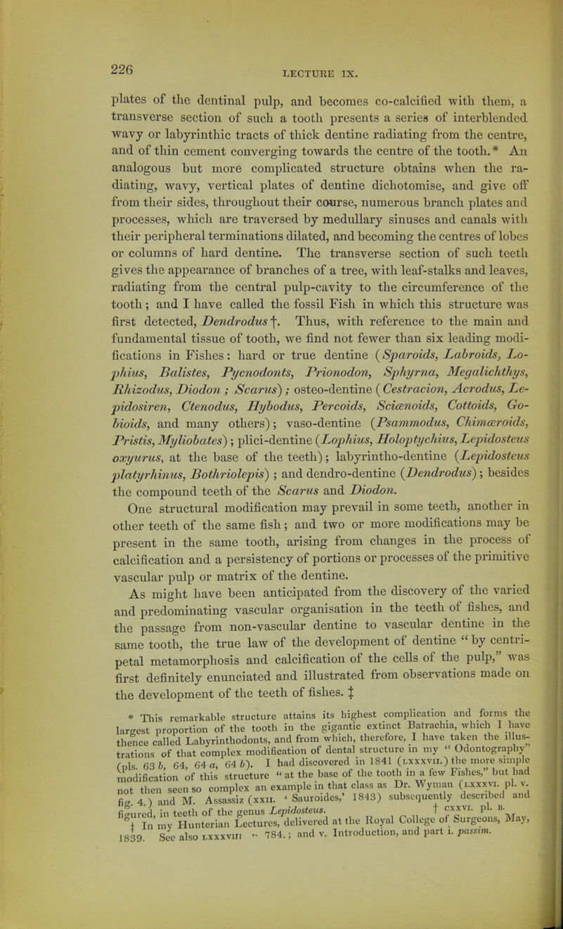LECTUKE IX. plates of the dentinal pulp, and becomes co-calcified with them, a transverse section of such a tooth presents a series of interblended wavy or labyrinthic tracts of thick dentine radiating from the centre, and of thin cement converging towards the centre of the tooth. * An analogous but more complicated structure obtains when the ra- diating, wavy, vertical plates of dentine dichotomise, and give off from their sides, throughout their course, numerous branch plates and processes, which are traversed by medullary sinuses and canals with their peripheral terminations dilated, and becoming the centres of lobes or columns of hard dentine. The transverse section of such teeth gives the appearance of branches of a tree, with leaf-stalks and leaves, radiating from the central pulp-cavity to the circumference of the tooth; and I have called the fossil Fish in which this structure was first detected, Dendrodus f. Thus, with reference to the main and fundamental tissue of tooth, we find not fewer than six leading modi- fications in Fishes: hard or true dentine (Sparoids, Labroids, Lo- pliius, Balistes, Pycnodonts, Prionodon, Sphyrna, Megalichthys, Rhizodus, Diodon ; Scarics); osteo-dentine ( Cestracion, Acrodus, Le- pidosiren, Ctenodus, Hybodus, Percoids, Scicenoids, Cottoids, Go- bioids, and many others); vaso-dentine {Psammodus, Chhrusroids, Pristis, Myliobates) ; plici-dentine {Lophius, Holoptyehius, Lepidosteus oxyurus, at the base of the teeth); labyrintho-dentine {Lepidosteus platyrliinus, Bothriolepis) ; and dendro-dentine {Dendrodus) ; besides the compound teeth of the Scarus and Diodo?i. One structural modification may prevail in some teeth, another in other teeth of the same fish; and two or more modifications may be present in the same tooth, arising from changes in the process of calcification and a persistency of portions or processes of the primitive vascular pulp or matrix of the dentine. As might have been anticipated from the discovery of the varied and predominating vasculai’ organisation in the teeth of fishes, and the passage from non-vascular dentine to vascular dentine in the same tooth, the true law of the development of dentine “ by centri- petal metamorphosis and calcification of the cells of the pulj), was first definitely enunciated and illustrated from observations made on the development of the teeth of fishes.:}: * This remarkable structure attains its highest complication and forms the largest proportion of the tooth in the gigantic extinct Batrachia which I have thence called Labyrinthodonts, and from which, therefore, I have taken the illus- trations of that complex modification of dental structure m my » Odontography fills 63 6 64 64 a, 64 6). I had discovered in 1841 (lxxxvii.) the more simple modification of this structure “at the base of the tooth in a few Fishes,” but had not then seen so complex an example in that class as Dr. Wyman (lxxxvi. pi. v. fig. 4.) and M. Assassiz (xxii. ‘ Sauroides,’ 1843) subsequently described and figured, in teeth of the genus Lepidosteus. T P^- “■ In my Hunterian Lectures, delivered at the Royal College of Surgeons, May, 18M See also lxxxviu - 784.; and v. Introduction, and part i. passtm.
