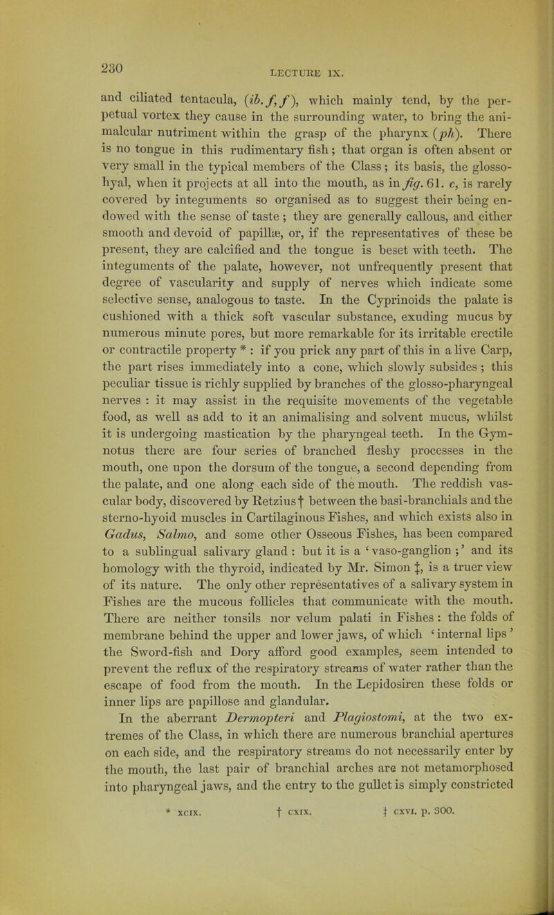 I.ECTURE IX. and ciliated tentacula, which mainly tend, by the per- petual vortex they cause in the surrounding water, to bring the ani- malcular nutriment within the grasp of the pharynx {ph). There is no tongue in this rudimentary fish; that organ is often absent or very small in the typical members of the Class; its basis, the glosso- hyal, when it projects at all into the mouth, as in fig. 61. c, is rarely covered by integuments so organised as to suggest their being en- dowed with the sense of taste; they are generally callous, and either smooth and devoid of papillaj, or, if the representatives of these be present, they are calcified and the tongue is beset with teeth. The integuments of the palate, however, not unfrequently present that degree of vascularity and supply of nerves which indicate some selective sense, analogous to taste. In the Cyprinoids the palate is cushioned with a thick soft vascular substance, exuding mucus by numerous minute pores, but more remarkable for its irritable erectile or contractile property * : if you prick any part of this in a live Carp, the part rises immediately into a cone, which slowly subsides ; this peculiar tissue is richly supplied by branches of the glosso-pharyngeal nerves : it may assist in the requisite movements of the vegetable food, as well as add to it an animalising and solvent mucus, whilst it is undergoing mastication by the pharyngeal teeth. In the G-ym- notus there are four series of branched fieshy processes in the mouth, one upon the dorsum of the tongue, a second depending from the palate, and one along each side of the mouth. The reddish vas- cular body, discovered by Retziusf between the basi-branchials and the sterno-hyoid muscles in Cartilaginous Fishes, and which exists also in Gadus, Salmo, and some other Osseous Fishes, has been compared to a sublingual salivary gland : but it is a ‘ vaso-ganglion ; ’ and its homology with the thyroid, indicated by Mr. Simon |, is a truer view of its nature. The only other representatives of a salivary system in Fishes are the mucous follicles that communicate with the mouth. There are neither tonsils nor velum palati in Fishes: the folds of membrane behind the upper and lower jaws, of which ‘internal lips ’ the Sword-fish and Dory afford good examples, seem intended to prevent the reflux of the respiratory streams of water rather than the escape of food from the mouth. In the Lepidosiren these folds or inner lips are papillose and glandular. In the aberrant Dermopteri and Plagiostomi, at the two ex- tremes of the Class, in which there are numerous branchial apertures on each side, and the respiratory streams do not necessarily enter by the mouth, the last pair of branchial arches are not metamorphosed into pharyngeal jaws, and the entry to the gullet is simply constricted XCIX. f CXIX, ^ cxvi. p. 300.