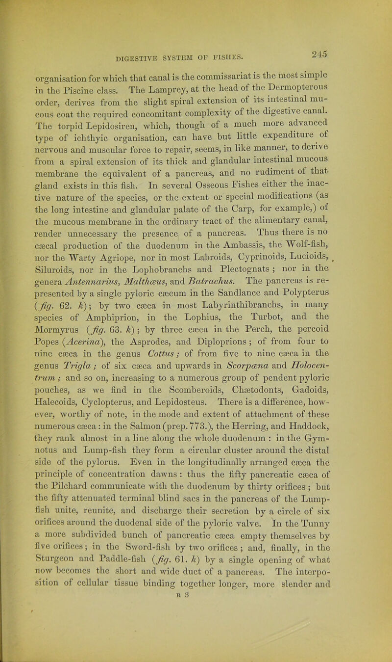 organisation for wliicli that canal is the commissariat is the most simple in the Piscine class. The Lamprey, at the head of the Dermopteious order, derives from the slight spiral extension of its intestinal mu- cous coat the required concomitant complexity of the digestive canal. The torpid Lepidosiren, which, though of a much more advanced type of ichthyic organisation, can have but little expendituie of nervous and muscular force to repair, seems, in like manner, to derive from a spiral extension of its thick and glandular intestinal mucous membrane the equivalent of a pancreas, and no rudiment of that gland exists in this fish. In several Osseous Fishes either the inac- tive nature of the species, or the extent or special modifications (as the long intestine and glandular palate of the Carp, for example,) of the mucous membrane in the ordinary tract of the alimentary canal, render unnecessary the presence of a pancreas. Thus there is no caecal production of the duodenum in the Amhassis, the Wolf-fish, nor the Warty Agriope, nor in most Labroids, Cyprinoids, Lucioids, ^ Siluroids, nor in the Lophohranchs and Plectognats ; nor in the genera Antennarius, Malthceus, and Batrachus. The pancreas is re- jiresented by a single pyloric caecum in the Sandlance and Polypterus {fig- 62. /e); by two caeca in most Lahyrinthibranchs, in many species of Amphiprion, in the Lophius, the Turbot, and the Mormyrus {fig- 63. k); by three caeca in the Perch, the percoid Popes {Acerind), the Asprodes, and Diploprions ; of from four to nine caeca in the genus Coitus; of from five to nine caeca in the genus Trigla; of six caeca and upwards in Scorpmna and Holocen- trum ; and so on, increasing to a numerous group of pendent pyloric pouches, as we find in the Scomheroids, Chaetodonts, Gadoids, Ilalecoids, Cyclopterus, and Lepidosteus. There is a difference, how- ever, worthy of note, in the mode and extent of attachment of these numerous caeca: in the Salmon (prep. 773.), the Flerring, and Haddock, they rank almost in a line along the whole duodenum : in the Gym- notus and Lump-fish they form a circular cluster around the distal side of the pylorus. Even in the longitudinally arranged caeca the principle of concentration dawns : thus the fifty pancreatic caeca of the Pilchard communicate with the duodenum by thirty orifices ; but the fifty attenuated terminal blind sacs in the pancreas of the Lump- fish unite, reunite, and discharge their secretion by a circle of six orifices around the duodenal side of the pyloric valve. In the Tunny a more subdivided bunch of pancreatic caeca empty themselves by five orifices; in the vSword-fish by two orifices; and, finally, in the Sturgeon and Paddle-fish {fig- 61. k) by a single opening of what now becomes the short and wide duct of a piincreas. The interpo- sition of cellular tissue binding together longer, more slender aind