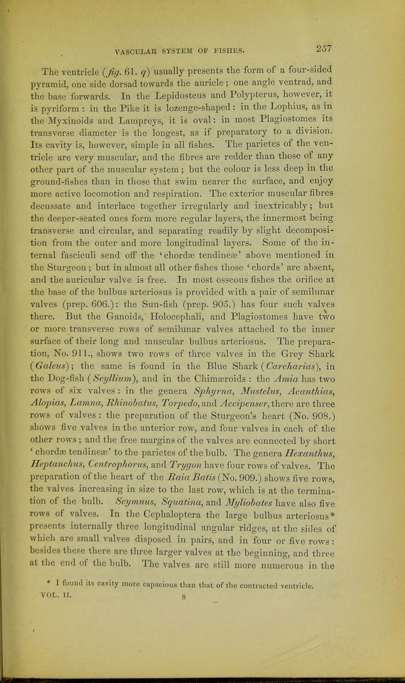 The ventricle 61. (7) usually presents the form of a four-sided pyramid, one side dorsad towards the auricle ; one angle ventrad, and the base forwards. In tlie Lepidosteus and Polypterus, however, it is pyriform : in the Pike it is lozenge-shaped: in the Lophius, as in the Myxinoids and Lampreys, it is oval; in most Plagiostomes its transverse diameter is the longest, as if preparatory to a division. Its cavity is, however, simple in all fishes. The parietes of the ven- tricle are very muscular, and the fibres are redder than those of any other part of the muscular system; but the colour is less deep in the ground-fishes than in those that swim nearer the surface, and enjoy more active locomotion and respiration. The exterior muscular fibres decussate and interlace together irregularly and inextricably; but the deeper-seated ones form more regular layers, the innermost being transverse and circular, and separating readily by slight decomposi- tion from the outer and more longitudinal layers. Some of the in- ternal fasciculi send off the ‘chordas tendineas’ above mentioned in the Sturgeon ; but in almost all other fishes those ‘ chords ’ are absent, and the auricular valve is free. In most osseous fishes the orifice at the base of the bulbus arteriosus is provided with a pair of semilunar valves (prep. 606.): the Sun-fish (prep. 905.) has four such valves there. But the Ganoids, Holocephali, and Plagiostomes have two or more transverse rows of semilunar valves attached to the inner surface of their long and muscular bulbus arteriosus. The prepara- tion, No. 911., shows two rows of three valves in the Grey Shark (Galeus); the same is found in the Blue Shark (Carcharias), in the Dog-fish ( Scyllium), and in the Chimmroids : the Amia has two rows of six valves : in the genera Spliyrna, Mustelus, Acanthias, Alopias, Lamna, Rhinohatus, Torpedo, and Accipenser, there are three rows of valves : the preparation of the Sturgeon’s heart (No. 908.) shows five valves in the anterior row, and four valves in each of the other rows; and the free margins of the valves are connected by short ‘ chordaj tendinese’ to the parietes of the bulb. The genera Hexanthus, Heptanchus, Centrophorus, and Trygon have four rows of valves. The preparation of the heart of the Raici Batis (No. 909.) shows five rows, the valves increasing in size to the last row, which is at the termina- tion of the bulb. Scymnus, Squatina, and Myliohates have also five rows of valves. In the Cephaloptera the large bulbus arteriosus* presents internally three longitudinal angular ridges, at the sides of which are small valves disposed in pairs, and in four or five rows: besides these there are three larger valves at the beginning, and three at the end of the bulb. The valves are still more numerous in the I found its cavity more capacious than that of the contracted ventricle. A'OL. II. S
