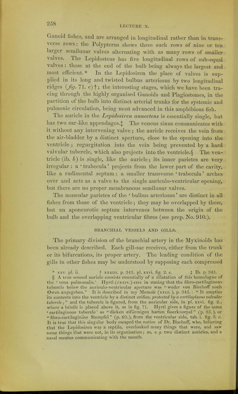 LECTURK X. Giuioicl fishes, and ai’e arranged in longitudinal rather than in trans- verse rows: the Polypterus shows three such rows of nine or ten larger semilunar valves alternating with as many roAvs of smaller valves. The Lepidosteus has five longitudinal rows of sub-equal valves : those at the end of the bulb being ahvays the largest and most efficient. * In the Lepidosiren the place of valves is sup- plied in its long and twisted bulbus arteriosus by two longitudinal ridges {Jig. 71. c)f; the interesting stages, which Ave have been tra- eing through the highly organised Ganoids and Plagiostomes, in the partition of the bulb into distinct arterial trunks for the systemic and pulmonic circulation, being most advanced in this amphibious fish. The auricle in the Lepidosiren annectens is essentially single, but has two ear-like appendages.:j; The venous sinus communicates with it Avithout any intervening valve ; the auricle receives the vein from the air-bladder by a distinct aperture, close to the opening into the ventricle ; regurgitation into the vein being prevented by a hard valvular tubercle, Avhich also projects into the ventricle.§ The ven- tricle (ib. b') is single, like the auricle; its inner parietes are very irregular : a ‘trabecula’ projects from the lower part of the cavity, like a rudimental septum : a smaller transverse ‘ trabecula ’ arches over axid acts as a valve to the single auriculo-ventricular opening, but there are no proper membranous semilunar valves. The muscular parietes of the ‘ bulbus arteriosus ’ are distinct in all fishes from those of the ventricle; they may be overlapped by these, but an aponeurotic septum intervenes betAveen the oilgin of the bulb and the overlapping ventricular fibres (see prep. No. 910.). BRAJSrCHIAL VESSELS AND GILLS. The primary division of the branchial artery in the Myxinoids has been already described. Each gill-sac receives, either from the trunk or its bifurcations, its proper artery. The leading condition of the gills in other fishes may be understood by supposing each compressed * XXV. pi. ii. f XXXIII. p. 343. pi. xxvi. fig. 2. c. t Ib. p. 345. § A true second auricle consists essentially of a dilatation of this homologue of the ‘vena pulmonalis.’ Hyrtl (cxxiv.) errs in stating that the fibro-cartilaginous tubercle below the auriculo-ventricular aperture was “ weder von BischofF noch Owen angegeben.” It is described in my Memoir (xxiii.), p. 345. : “ It empties its contents into the ventricle by a distinct orifice, protected by a cartilaginous valvular tubercleand the tubercle is figured, from the auricular side, in pi. xxvi. fig. 2., where a bristle is placed above it, as in fig. 71. Ilyrtl gives a figure of the same ‘cartilaginous tubercle’ as “ die ken eifdrmigen harten faserknorpel ” (p. 35.), or “ fibro-cartilagindse Stempfel ” (p. 60.), from the ventricular side, tab. i. fig. 3. c. It is true that this singular body escaped the notice of Dr. Bischoff’, who, believing that the Lepidosiren was a reptile, overlooked many things that were, and saw some things that were not, in its organisation; as, e. g. two distinct auricles, and a nasal meatus communicating with the mouth.