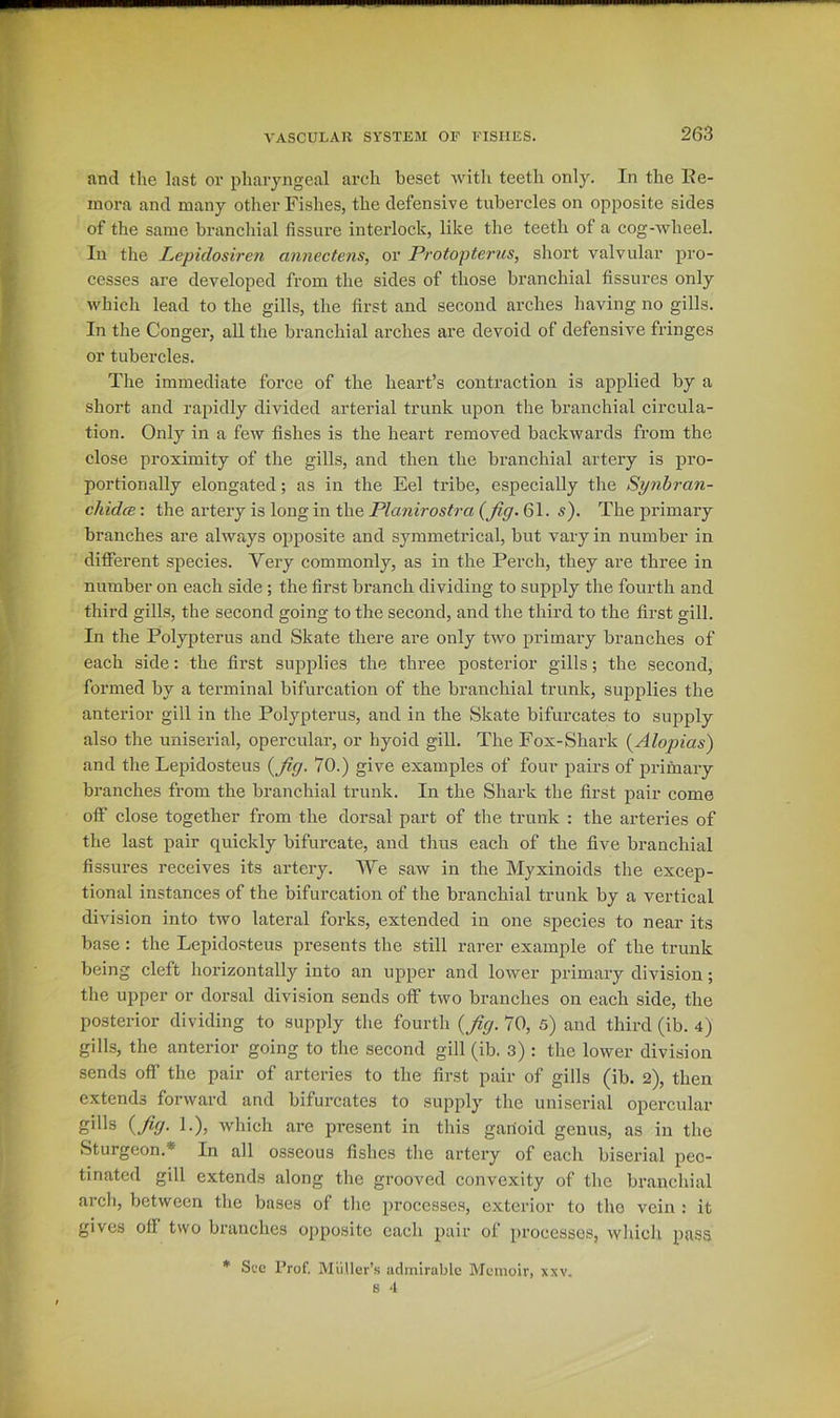 and the last ov pharyngeal arch beset Avith teeth only. In the Ke- inora and many other Fishes, the defensive tubercles on opposite sides of the same brancliial fissure interlock, like the teeth of a cog-wheel. In the Lepidosiren annectens, or Protofterus, short valvular pro- cesses are developed from the sides of those branchial fissures only which lead to the gills, the first and second arches having no gills. In the Conger, all the branchial arches are devoid of defensive fringes or tubercles. The immediate force of the heart’s conti'action is applied by a short and rapidly divided arterial trunk upon the branchial circula- tion. Only in a feiv fishes is the heart removed backwards from the close proximity of the gills, and then the branchial artery is pro- portionally elongated; as in the Eel tribe, especially the Synhran- chidcB-. the artery is long in the 61. s'). The primary branches are always oiiposite and symmetrical, but vary in number in different species. Very commonly, as in the Perch, they are three in number on each side; the first branch dividing to supply the fourth and third gills, the second going to the second, and the third to the first gill. In the Polypterus and Skate there are only tivo primary branches of each side: the first supplies the three posterior gills; the second, formed by a terminal bifurcation of the branchial trunk, supplies the anterior gill in the Polypterus, and in the Skate bifurcates to supply also the uniserial, opercular, or hyoid giU. The Fox-Shark (^Alopias) and the Lepidosteus {Jig. 70.) give examples of four pairs of primary branches from the branchial trunk. In the Shark the first pair come off close together from the dorsal part of the trunk : the arteries of the last pair quickly bifurcate, and thus each of the five branchial fis.sures receives its artery. We saw in the Myxinoids the excep- tional instances of the bifurcation of the branchial trunk by a vertical division into two lateral forks, extended in one species to near its base: the Lepidosteus presents the still rarer example of the trunk being cleft horizontally into an upper and loAver primary division; the upper or dorsal division sends off two branches on each side, the posterior dividing to supply the fourth {Jig. 70, 5) and third (ib. 4) gills, the anterior going to the second gill (ib. 3) : the lower division sends off the pair of arteries to the first pair of gills (ib. 2), then extends forward and bifurcates to supply the uniserial opercular gills {Jig. ].), which are present in this ganoid genus, as in the Sturgeon.* In all osseous fishes the artery of each biserial pec- tinated gill extends along the grooved convexity of the branchial arch, between the bases of tlie processes, exterior to tlio vein : it gives off two branches opposite each pair of processes, Avhicli pass * See Prof. MiiUer’s admirable Memoir, xxv. 8 4