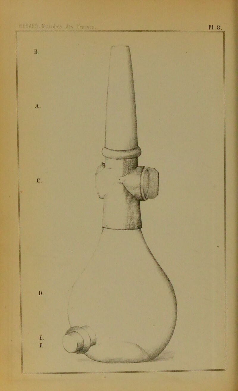 PI.8. PlCfiARû . MaLîciies FeiiCTies.