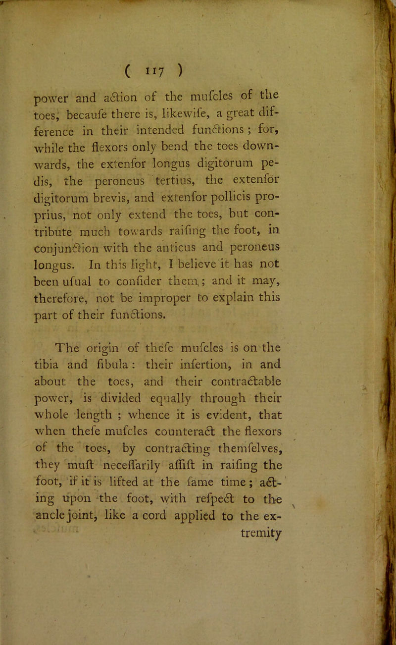 power and a6lion of the mufcles of tlie toes; becaufe there is, likewife, a great dif- ference in their intended fun6lions; for, while the flexors only bend the toes down- wards, the extenfor longus digitorum pe- dis, the peroneus tertius, the extenfor digitorum brevis, and extenfor pollicis pro- prius, not only extend the toes, but con- tribute much towards raifing the foot, in conjun6i:ion with the anticus and peroneus longus. In this light, I believe it has not been ufual to confider them,; and it may, therefore, not be improper to explain this part of their functions. The orio:in of thefe mufcles is on the tibia and fibula : their infertion, in and about the toes, and their contra6table power, is divided equally through their whole length ; whence it is evident, that when thefe mufcles counteradt the flexors of the toes, by contra6ling themfelves, they muft neceflarily aflTift in raifing the foot, if it* is lifted at the fame time ; a6f- ' ing upon ^the foot, with refpe6l to the ancle joint, like a cord applied to the ex- tremity