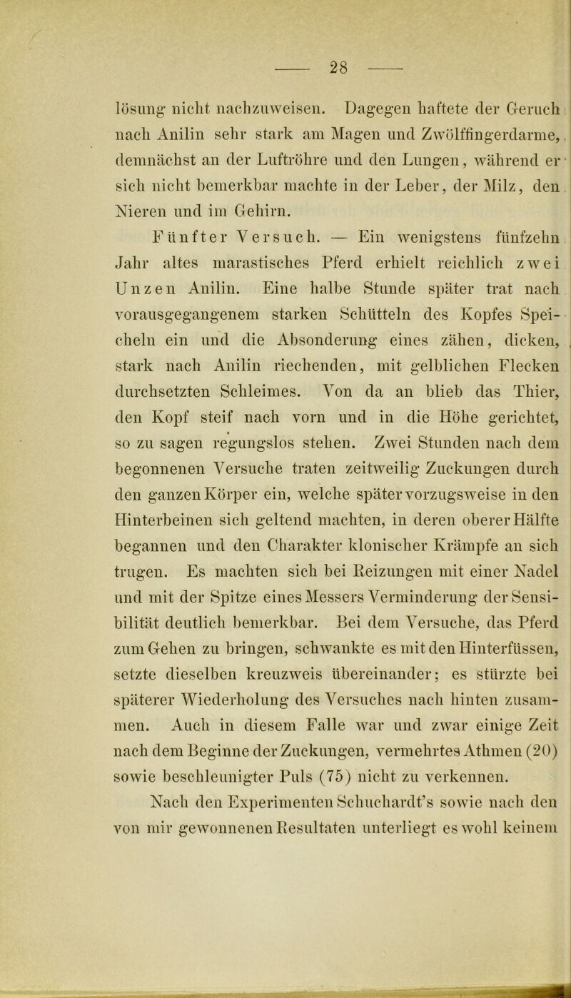 lösimg- nicht nachzuweisen. Dagegen haftete der Geruch nach Anilin sehr stark am Magen und Zwölffingerdärme, demnächst an der Luftröhre und den Lungen, während er * sich nicht bemerkbar machte in der Leber, der Milz, den Nieren und im Gehirn. Fünfter Versuch. — Ein wenigstens fünfzehn j Jahr altes marastisches Pferd erhielt reichlich zwei Unzen Anilin. Eine halbe Stunde später trat nach vorausgegangenem starken Schütteln des Kopfes Spei- cheln ein und die Absonderung eines zähen, dicken, j stark nach Anilin riechenden, mit gelblichen Flecken durchsetzten Schleimes. Von da an blieb das Thier, den Kopf steif nach vorn und in die Höhe gerichtet, so zu sagen regungslos stehen. Zwei Stunden nach dem begonnenen Versuche traten zeitAveilig Zuckungen durch den ganzen Körper ein, welche später vorzugSAveise in den Hinterbeinen sich geltend machten, in deren oberer Hälfte i begannen und den Charakter klonischer Krämpfe an sich trugen. Es machten sich bei Reizungen mit einer Nadel und mit der Spitze eines Messers Verminderung der Sensi- bilität deutlich bemerkbar. Bei dem Versuche, das Pferd zum Gehen zu bringen, schAvankte es mit den Hinterfüssen, setzte dieselben kreuzAA^eis übereinander; es stürzte bei späterer Wiederholung des Versuches nach hinten zusam- men. Auch in diesem Falle Avar und ZAvar einige Zeit nach dem Beginne der Zuckungen, vermehrtes Athmen (20) sowie beschleunigter Puls (75) nicht zu verkennen. Nach den Experimenten Schuchardt’s soAvie nach den von mir geAvonnenen Resultaten unterliegt esAvohl keinem