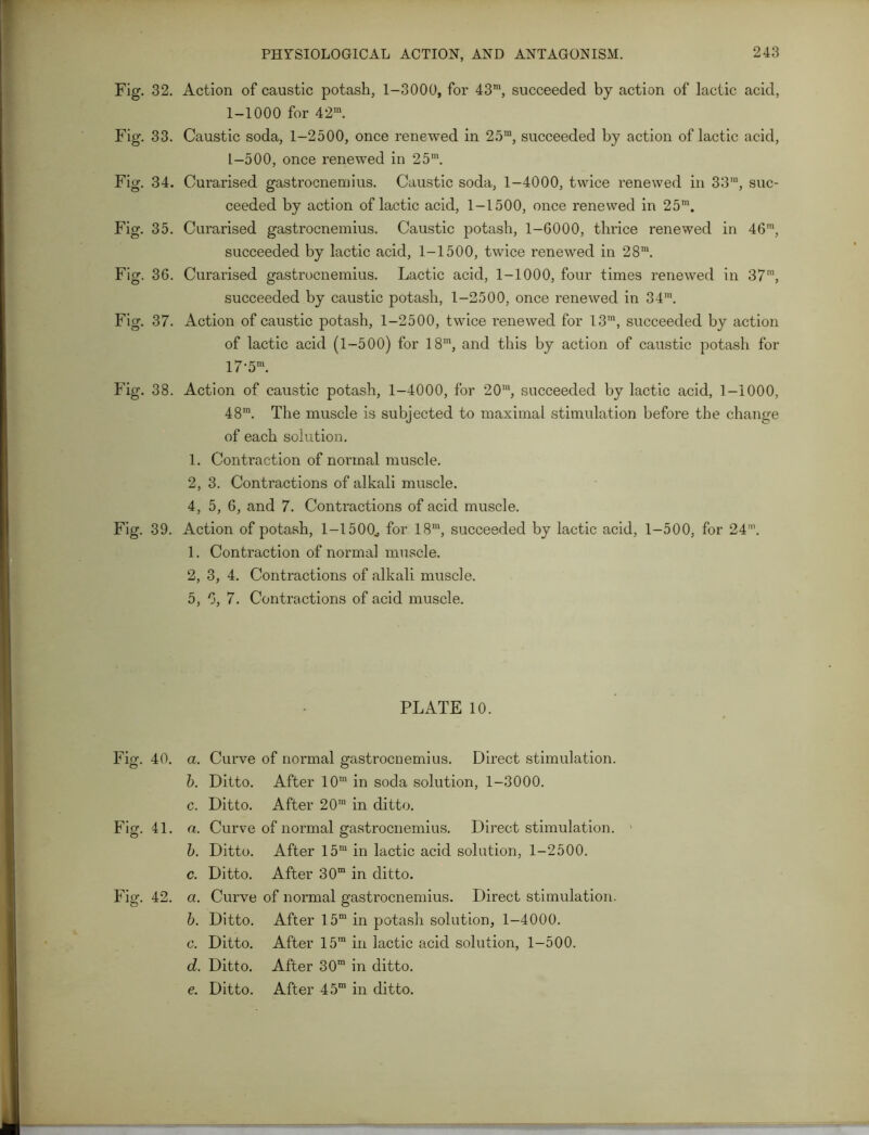 Fig. 32. Action of caustic potash, 1-3000, for 43™, succeeded by action of lactic acid, 1-1000 for 42ra. Fig. 33. Caustic soda, 1-2500, once renewed in 25™, succeeded by action of lactic acid, L—500, once renewed in 25m. Fig. 34. Curarised gastrocnemius. Caustic soda, 1-4000, twice renewed in 33m, suc- ceeded by action of lactic acid, 1-1500, once renewed in 25m. Fig. 35. Curarised gastrocnemius. Caustic potash, 1-6000, thrice renewed in 46m, succeeded by lactic acid, 1-1500, twice renewed in 28™. Fig. 36. Curarised gastrocnemius. Lactic acid, 1-1000, four times renewed in 37™, succeeded by caustic potash, 1-2500, once renewed in 34™. Fig. 37. Action of caustic potash, 1-2500, twice renewed for 13™, succeeded by action of lactic acid (1-500) for 18™, and this by action of caustic potash for 17-5™. Fig. 38. Action of caustic potash, 1-4000, for 20™, succeeded by lactic acid, 1-1000, 48™. The muscle is subjected to maximal stimulation before the change of each solution. 1. Contraction of normal muscle. 2, 3. Contractions of alkali muscle. 4, 5, 6, and 7. Contractions of acid muscle. Fig. 39. Action of potash, 1-1500., for 18™, succeeded by lactic acid, 1-500, for 24'. 1. Contraction of normal muscle. 2, 3, 4. Contractions of alkali muscle. 5, 6, 7. Contractions of acid muscle. PLATE 10. Fig. 40. a. Curve of normal gastrocnemius. Direct stimulation. b. Ditto. After 10™ in soda solution, 1-3000. c. Ditto. After 20™ in ditto. Fig. 41. a. Curve of normal gastrocnemius. Direct stimulation. b. Ditto. After 15™ in lactic acid solution, 1-2500. c. Ditto. After 30™ in ditto. Fig. 42. a. Curve of normal gastrocnemius. Direct stimulation. b. Ditto. After 15™ in potash solution, 1-4000. c. Ditto. After 15™ in lactic acid solution, 1-500. d. Ditto. After 30™ in ditto. e. Ditto. After 45™ in ditto.