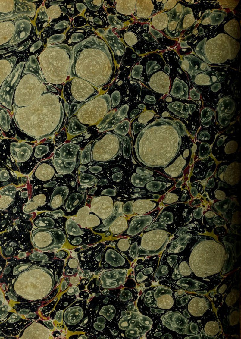 '• ^’IWPriBlin tjjBllBH