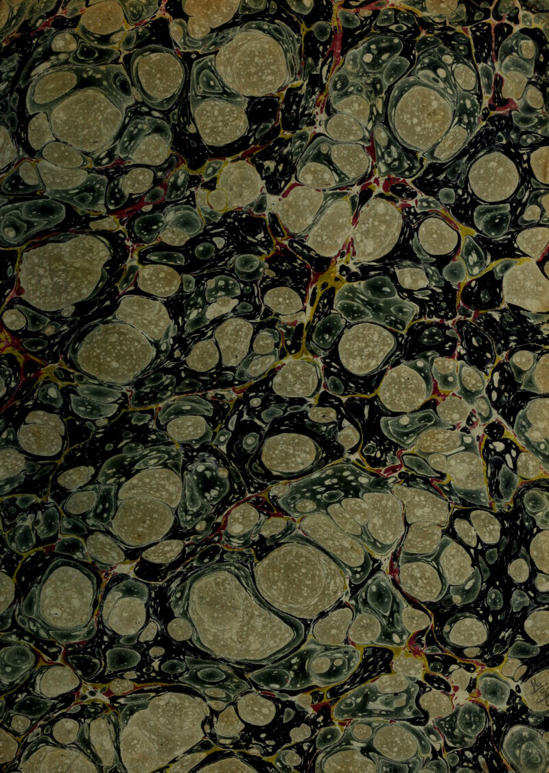 ’ * -WM SSI^SImBbI^^ ^'n ■V ' ' I*'A'^ aril f/Of^ mi ' '. KrT?ai^lr . v/jiiSluic£SMHi^nG