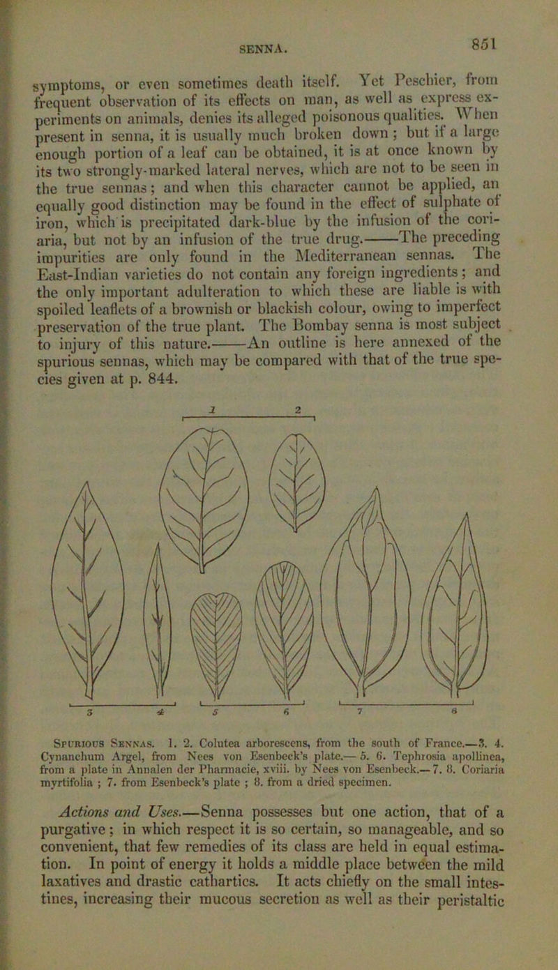 symptoms, or even sometimes death itself. Yet Peschier, from frequent observation of its effects on man, as well as express ex- periments on animals, denies its alleged poisonous qualities. \Y hen present in senna, it is usually much broken down ; but it a large enough portion of a leaf can be obtained, it is at once known by its two strongly-marked lateral nerves, which are not to be seen in the true sennas; and when this character cannot be applied, an equally good distinction may be found in the effect of sulphate of iron, which is precipitated dark-blue by the infusion of the cori- aria, but not by an infusion of the true drug. The preceding impurities are only found in the Mediterranean sennas. Ihe East-Indian varieties do not contain any foreign ingredients ; and the only important adulteration to which these are liable is with spoiled leaflets of a brownish or blackish colour, owing to imperfect preservation of the true plant. The Bombay senna is most subject to injury of this nature. An outline is here annexed of the spurious sennas, which may be compared w'ith that of the true spe- cies given at p. 844. Spurious Sennas. 1. 2. Colutea arborescens, from the south of France.—3. 4. Cvnanchum Argel, from Nees von Esenbeck’s plate.— 5. 6. Tephioaia apollinea, from a plate in Annalen der Plmrmacie, xviii. by Nees von Esenbeck.—7. 8. Coriaria myrtifolia ; 7. from Esenbeck’s plate ; 8. from a dried specimen. Actions and Uses.—Senna possesses but one action, that of a purgative; in which respect it is so certain, so manageable, and so convenient, that few remedies of its class are held in equal estima- tion. In point of energy it holds a middle place between the mild laxatives and drastic cathartics. It acts chiefly on the small intes- tines, increasing their mucous secretion as well as their peristaltic 2 2