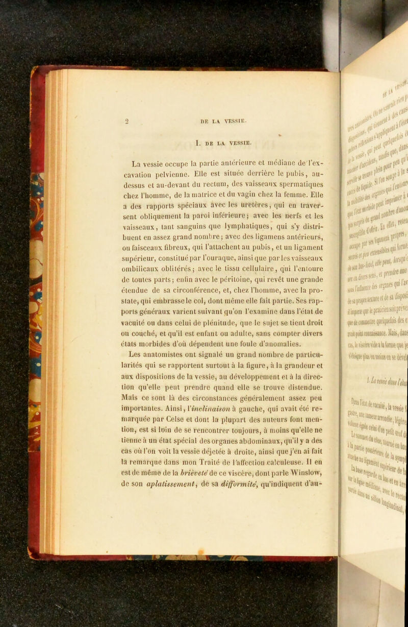 I. DE LA VESSIE. JM. m «I0 La vessie occupe la partie antérieure et médiane de l’ex- cavation pelvienne. Elle est située derrière le pubis, au- dessus et au-devant du rectum, des vaisseaux spermatiques chez l’homme, de la matrice et du vagin chez la femme. Elle a des rapports spéciaux avec les uretères, qui en traver- sent obliquement la paroi inférieure* avec les nerfs et les vaisseaux, tant sanguins que lymphatiques, qui s’y distri- buent en assez grand nombre; avec des ligamens antérieurs, ou faisceaux fibreux, qui l’attachent au pubis, et un ligament supérieur, constitué par l’ouraque, ainsi que parles vaisseaux ombilicaux oblitérés; avec le tissu cellulaire, qui l’entoure de toutes parts; enfin avec le péritoine, qui revêt une grande étendue de sa circonférence, et, chez l’homme, avec la pro- state, qui embrasse le col, dont même elle fait partie. Ses rap- ports généraux varient suivant qu’on l’examine dans l’état de vacuité ou dans celui de plénitude, que le sujet se lient droit ou couché, et qu’il est enfant ou adulte, sans compter divers étals morbides d’où dépendent une foule d’anomalies. Les anatomistes ont signalé un grand nombre de particu- larités qui se rapportent surtout à la figure, à la grandeur et aux dispositions de la vessie, au développement et à la direc- tion qu’elle peut prendre quand elle se trouve distendue. Mais ce sont là des circonstances généralement assez peu importantes. Ainsi, l’inclinaison à gauche, qui avait été re- marquée par Celse et dont la plupart des auteurs font men- tion, est si loin de se rencontrer toujours, à moins qu’elle ne tienne à un état spécial des organes abdominaux, qu’il y a des cas où l’on voit la vessie déjelée à droite, ainsi que j’en ai fait la remarque dans mon Traité de l'affection calculeuse. Il en est de même de la brièveté de ce viscère, dont parle Winslow, de son aplatissement, de sa difformité, qu’indiquent d’au- **V” laiio i#lefl nealiniplllU£ irbide Peu , j-.noii lt,lti effet Z?**** s-ss Md de sa propre teiiure d de M dispos' avait pointcooittitcucfi. Mais, ta cas, le xiscère\ide a la lorme que Lkirmètitîàt