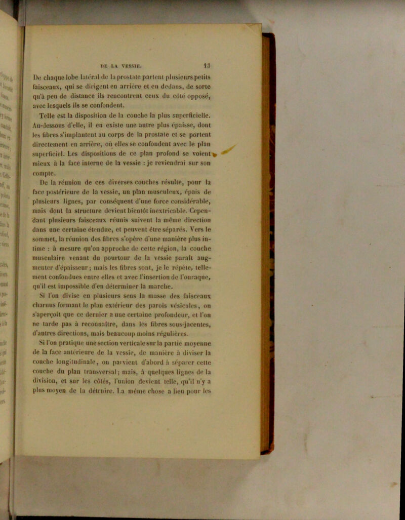 r - f Do chaque lobe latéral «le la prosuie partent plusieurs petits faisceaux, qui se dirigent en arrière et en dedans, de sorte qu’à peu de distance ils rencontrent ceux du côté opposé, avec lesquels ils se confondent. Telle est la disposition de la couche la plus superficielle. Au-Jessous d’elle, il en existe une autre plus épaisse, dont les fibres s’implantent au corps de la prostate et se portent directement en arrière, où elles se confondent avec le plan superficiel. Les dispositions de ce plan profond se voient* * mieux à la face interne de la vessie : je reviendrai sur son compte. De la réunion de ces diverses couches résulte, pour la face postérieure de la vessie, un plan musculeux, épais de plusieurs lignes, par conséquent d’une force considérable, mais dont la structure devient bientôt inextricable. Cepen- dant plusieurs faisceaux réunis suivent la même direction dans une certaine étendue, et peuvent être séparés. Vers le sommet, la réunion des fibres s’opère d une manière plus in- time : à mesure qu’on approche de cette région, la couche musculaire venant du pourtour de la vessie paraît aug- menter d’épaisseur; mais les fibres sont, je le répète, telle- ment confondues entre elles et avec l’insertion de l’ouraque, qu’il est impossible d’en déterminer la marche. Si l’on divise en plusieurs sens la masse des faisceaux charnus formant le plan extérieur des parois vésicales, on s’aperçoit que ce dernier a une certaine profondeur, et l’on ne tarde pas à reconnaître, dans les fibres sous-jacentes, d’autres directions, mais beaucoup moins régulières. Si l’on pratique une section verticale sur la partie moyenne de la face antérieure de la vessie, de manière à diviser la couche longitudinale, on paivient d’abord à séparer celle couche du plan transversal; mais, à quelques lignes delà division, et sur les côtés, l'union devient telle, qu’il n’y a plus moyen de la détruire. La même chose a lieu pour les