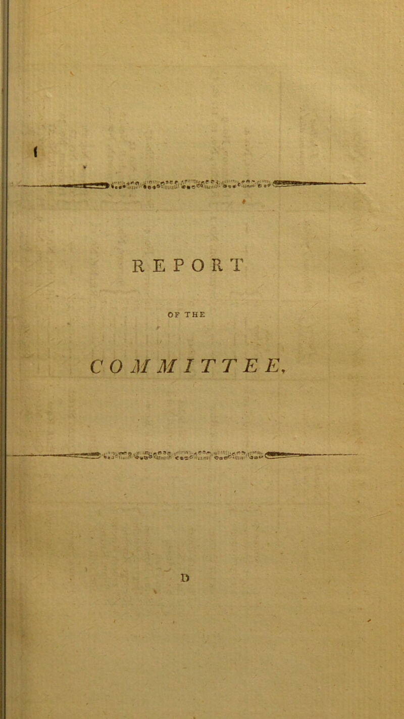 REPORT OF THE COMMITTEE, n