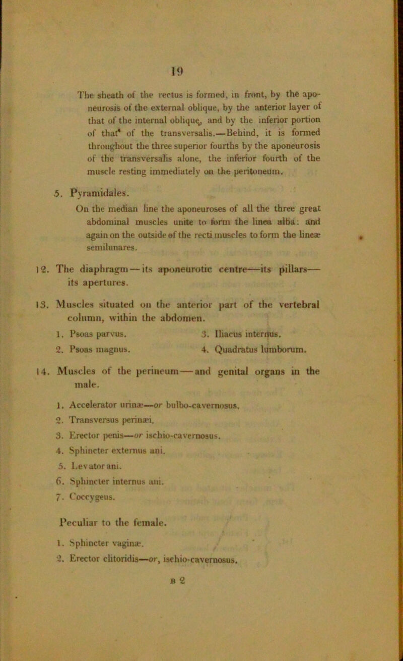 The sheath of the rectus is formed, in front, by the apo- neurosis of the external oblique, by the anterior layer of that of the internal obliquq, and by the inferior portion of that* of the transversalis.—Behind, it is formed throughout the three superior fourths by the aponeurosis of the transversalis alone, the inferior fourth of the muscle resting immediately on the peritoneum. .5. Pyramidales. On the median line the aponeuroses of all the three great abdominal muscles unite to tbrm the linea alba: ami again on the outside of the recti muscles to form the linea? semilunares. 12. The diaphragm — its aponeurotic centre—its pillars— its apertures. 13. Muscles situated on the anterior part of the vertebral column, within the abdomen. 1. Psoas parvus. .3. lliacus interiius. 2. Psoas magnus. 4. Quadratus lumborum. 14. Muscles of the perineum — and genital organs in the male. 1. Accelerator urina-—or bulbo-cavemosus. 2. Trans versus perinaei. 3. Erector penis—or ischio-cavernosus. 4. Sphincter extemus ani. 5. Levator am. 6. Sphincter internus ani. 7. Coccygeus. Peculiar to the female. 1. Sphincter vagina*. 2. Erector chtoridis—or, ischio-cavernosus. h 2