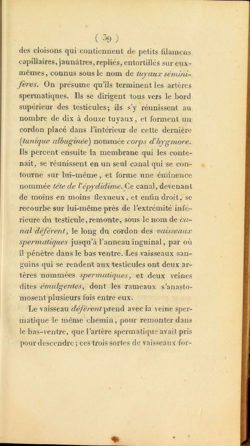 ( '9 ) des cloisons qui contiennent de petits lilainens capillaires, jaunâtres^, repliés, entortillés sur eux- mêmes, connus sous le nom de tuyaux sémini- fères. On présume qu’ils terminent les artères spermatiques. Ils se dirigent tous vers le bord supérieur des testicules; ils s’y réunissent au nombre de dix à douze tuyaux, et forment un cordon placé dans l’intérieur de cette dernière [tunique albuginée) nommée corps d’hygmore. Ils percent ensuite la membrane qui les conte- nait^ se réunissent en un seul canal qui se con- tourne sur lui-même, et forme une éminence nommée tête de Vépydidime.juG canal, devenant de moins en moins flexueux, et enfin droit, se recourbe sur lui-même près de l’extrémité infé- rieure du testicule, remonte, sous le nom de ca- nal déférent, le long du cordon des vaisseaux spermatiques jusqu’à l’anneau inguinal, par où il pénètre dans le bas ventre. Les vaisseaux san- guins qui se rendent aux testicules ont deux ar- tères nommées spermatiques, et deux veines dites émulgentes, dont les rameaux s’anasto- mosent plusieurs fois entre eux. Le vaisseau déférent ^\'an(\ avec la veine sper- matique le même chemin, pour remonter dans le bas-vontre, que l’artère spermatique avait pris pour descendre ; ces trois sortes de vaisseaux for-