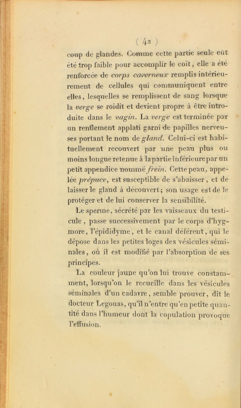 (40 coup de glandes, (domine cette partie seule eût été trop faible pour accomplir le coït, elle a été renforcée de corps caverneux remplis intérieu- rement de cellules qui communiquent entre elles, lesquelles se remplissent de sang lorsque la verge se roidit et devient propre à être intro- duite dans le vagin. La verge est terminée par un renflement applati garni de papilles nerveu- ses portant le nom de gland. Celui-ci est habi- tuellement recouvert par une peau plus ou moins longue retenue à lapartie inférieurepar un petit appendice nommé /icm. Cette peau^ appe- lée prépuce, est susceptible de s’abaisser, et de laisser le gland à découvert; son usage est de le protéger et de lui conserver la sensibilité. Le sperme, sécrété par les vaisseaux du testi- cule , passe successivement par le corps d’hyg- more, l’épididyme, et le canal déférent, qui le dépose dans les petites loges des vésicules sémi- nales , où il est modifié par l’absorption de ses principes. La couleur jaune qu’on lui trouve constam- ment, lorsqu’on le recueille dans les vésicules séminales d’un cadavre, semble prouver, dit le docteur Legouas, qu’il n’entre qu’en petite quan- tité dans l’humeur dont la copulation provoque l’effusion.