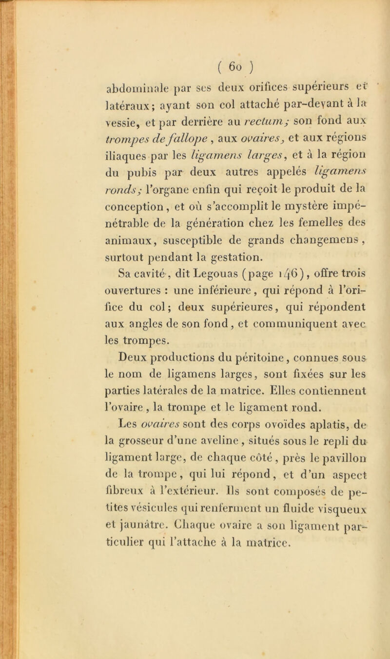 ( 6ü ) abdominale par ses deux orifices supérieurs et latéraux; ayant son col attache par-deyant a la vessie, et par derrière au rectum j son fond aux trompes de fallope , aux ovaires, et aux régions iliaques par les ligamens larges^ et à la région du pubis par deux autres appelés ligamens r onds; l’organe enfin qui reçoit le produit de la conception, et où s’accomplit le mystère impé- nétrable de la génération chez les femelles des animaux, susceptible de grands changemens , surtout pendant la gestation. Sa cavité , dit Legouas (page i4b), offre trois ouvertures : une inférieure, qui répond à l’ori- fice du col ; deux supérieures, qui répondent aux angles de son fond, et communiquent avec les trompes. Deux productions du péritoine, connues sous le nom de ligamens larges, sont fixées sur les parties latérales de la matrice. Elles contiennent l’ovaire , la trompe et le ligament rond. Les ovait'es sont des corps ovoïdes aplatis, de la grosseur d’une aveline , situés sous le repli du ligament large, de chaque côté, près le pavillon de la trompe, qui lui répond, et d’un aspect fibreux à l’extérieur. Ils sont composés de pe- tites vésicules qui renferment un fluide visqueux et jaunâtre. Chaque ovaire a son ligament par- ticulier qui l’attache à la matrice.