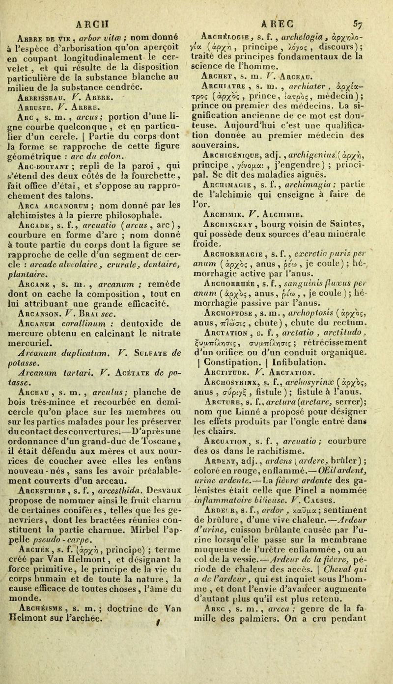 ARCH Arbre de vie , arbor vitœ ; nom donné à l’espèce d’arborisation qu’on aperçoit en coupant longitudinalement le cer- velet , et qui résulte de la disposition particulière de la substance blanche au milieu de la substance cendrée. Arbrisseau. F. Arbre. Arbuste. V. Arbre. Arc , s. m. , arcus ; portion d’une li- gne courbe quelconque , et en particu- lier d’un cercle. | Partie du corps dont la forme se rapproche de cette figure géométrique : arc du colon. Arc-boutant ; repli de la paroi , qui s’étend des deux côtés de la fourchette, fait office d’étai, et s’oppose au rappro- chement des talons. Arca arcanorüm ; nom donné par les alchimistes à la pierre philosophale. Arcade, s. f., arcuatio (arcus , arc) , courbure en forme d’arc ; nom donné à toute partie du corps dont la figure se rapproche de celle d’un segment de cer- cle : arcade alvéolaire3 crurale, dentaire, plantaire. Arcane , s. m. , arcanum ; remède dont on cache la composition , tout en lui attribuant une grande efficacité. Arcanson. F. Brai sec. Arcanum corallinum : deutoxide de mercure obtenu en calcinant le nitrate mercuriel. Arcanum duplicatum. F. Sulfate de potasse. Arcanum tartari. F. Acétate de po- tasse. Arceau, s. m. , areu l us ; planche de bois très-mince et recourbée en demi- cercle qu’on place sur les membres ou sur les parties malades pour les préserver ducontact des couvertures;—D’après une ordonnance d’un grand-duc de Toscane, il était défendu aux mères et aux nour- rices de coucher avec elles les enfans nouveau-nés, sans les avoir préalable- ment couverts d’un arceau. Arcesthide , s. f., arcesthida. Desvaux propose de nommer ainsi le fruit charnu de certaines conifères, telles que les ge- névriers , dont les bractées réunies con- stituent la partie charnue. Mirbel l’ap- pelle pseudo - carpe. Archée , s. f. (àp^vj, principe) ; terme créé par Van Helmont, et désignant la force primitive, le principe de la vie du corps humain et de toute la nature, la cause efficace de toutes choses, l’âme du monde. Ahchéisme , s. m. ; doctrine de Van Kelmont sur l’archée. t AREC 5y Archélogie , s. f. , archelogia, àp^vjXo- yta (àp^Vj, principe, Xoyoç , discours); traité des principes fondamentaux de la science de l’homme. Archet, s. m. F. Arceau. Archiatre , s. m. , archiater, àp^ta— rpoç (àpx'o'ç, prince, îarpoç, médecin); prince ou premier des médecins. La si- gnification ancienne de ce mot est dou- teuse. Aujourd’hui c’est une qualifica- tion donnée au premier médecin des souverains. Archigéniqüe, adj., archigcnius.(ùpxy}, principe , ytvop,occ , j’engendre) ; princi- pal. Se dit des maladies aiguës. Archimagie, s. f., archimagia ; partie de l’alchimie qui enseigne à faire de l’or. Archimie. F. Alchimie. Archingeay , bourg voisin de Saintes, qui possède deux sources d’eau minérale froide. Archorriiagie , s. f., cxcrctio puris per anum ( ocpx°ç , anus , p/<a , je coule) ; hé-, morrhagie active par l’anus. Archorrhée , s. f., sanguinis fluxus per anum (àp^oç, anus, p/w , , je coule ) ; hé- morrhagie passive par l’anus. Archoptose , s. m., arclioptosis (àp/oç, anus, 7r1ü><7iç , chute) , chute du rectum. Arctation , o. f., arclatio , arctitudo, ^up'jrtAvjo-iç, crupTrtXvjirtç ; rétrécissement d’un orifice ou d’un conduit organique. | Constipation. | Infibulation. Arctitude. F. Arctation. Archosyrinx, s. f., archosyrinx (àp^oç, anus , <7vpiy% , fistule ) ; fistule h l’anus. Arcture, s. f., arctura (arctare, serrer); nom que Linné a proposé pour désigner les effets produits par l’ongle entré dans les chairs. Arcuation, s. f. , arcuatio; courbure des os dans le rachitisme. Ardent, adj., ardens \ardere, brûler) ; coloré en rouge, enflammé.— Œil ardent, urine ardente,—La fièvre ardente des ga- lénistes était celle que Pinel a nommée inflammatoire bilieuse. F. Causus. Arde! r, s.f., ardor, xavp. a; sentiment de brûlure, d’une vive chaleur.—Ardeur d’urine, cuisson brûlante causée par l’u- rine lorsqu’elle passe sur la membrane muqueuse de l’urètre enflammée , ou au col de la vessie.—Ardeur de la fièvre, pé- riode de chaleur des accès. | Cheval qui a de l’ardeur, qui est inquiet sous l’hom- me , et dont l’envie d’avanVer augmente d’autant plus qu’il est plus retenu. Arec , s. m. , areca ; genre de la fa mille des palmiers. On a cru pendant