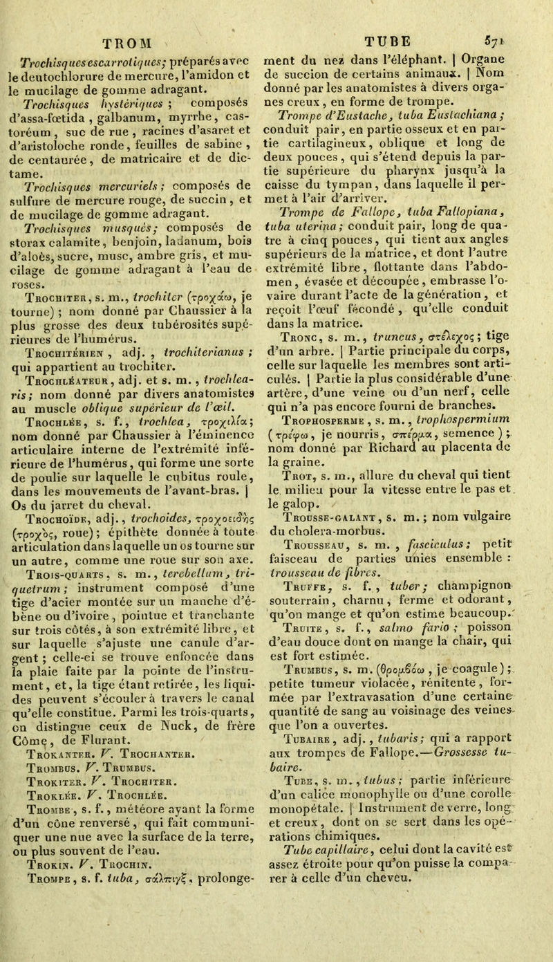 TROM Trochlsquesescarroiif/ues; préparés avec le deutochlorure de mercure, l’amidon et le mucilage de gomme adragant. Trocliisques hystériques ; composés d’assa-fœtida , galbanum, myrrhe, cas- toréum , suc de rue , racines d’asaret et d’aristoloche ronde, feuilles de sabine , de centaurée, de matricaire et de dic- tame. Trocliisques mercuriels ; composés de sulfure de mercure rouge, de succin, et de mucilage de gomme adragant. Trocliisques musqués; composés de storax calamite, benjoin, ladanum, bois d’aloès, sucre, musc, ambre gris, et mu- cilage de gomme adragant à l’eau de roses. Trochiter, s. m., trochiter (rpo^aw, je tourne) ; nom donné par Chaussier à la plus grosse des deux tubérosités supé- rieures de l’humérus. Trochitérien , adj. , trochiterianus ; qui appartient au trochiter. Trochléateur, adj. et s. m., trochlea- ris; nom donné par divers anatomistes au muscle oblique supérieur de l’oeil. Trochlée, s. f., trochlea, rpo^cXt'a; nom donné par Chaussier à l’éminence articulaire interne de l’extrémité infé- rieure de l’humérus, qui forme une sorte de poulie sur laquelle le cubitus roule, dans les mouvements de l’avant-bras, j Os du jarret du cheval. Trochoïdf,, adj., trochoidcs, zpo-yosië-nç (rpox'oç, roue) ; épithète donnée à toute articulation dans laquelle un os tourne sur un autre, comme une roue sur son axe. Trois-quarts, s. m., terebellum , tri- queirum; instrument composé d’une tige d’acier montée sur un manche d’é- bène ou d’ivoire, pointue et tranchante sur trois côtés, à son extrémité libre, et sur laquelle s’ajuste une canule d’ar- gent ; celle-ci se trouve enfoncée dans la plaie faite par la pointe de l’instru- ment , et, la lige étant retirée, les liqui- des peuvent s’écoulera travers le canal qu’elle constitue. Parmi les trois-quarts, on distingue ceux de Nuck, de frère Côme, de Flurant. Trokanter. V. Trochanter. Trombus. V. Trumbus. Trokiter. V. Trochiter. Troklée. V. Trochlée. Trombe , s. f., météore ayant la forme d’un cône renversé , qui fait communi- quer une nue avec la surface de la terre, ou plus souvent de l’eau. Trokin. V. Trochin. Trompe, s. f. tuba, craX-rny^, prolonge- TUBE 57t ment du nez dans l’éléphant. J Organe de succion de certains animau*. | Nom donné par les anatomistes à divers orga- nes creux , en forme de trompe. Trompe d’Eustache, tuba Eustachiana ; conduit pair, en partie osseux et en par- tie cartilagineux, oblique et long de deux pouces, qui s’étend depuis la par- tie supérieure du pharynx jusqu’à la caisse du tympan, dans laquelle il per- met à l’air d’arriver. Trompe de Fallope, tuba Fallopiana} tuba uterina; conduit pair, long de qua- tre à cinq pouces, qui tient aux angles supérieurs de la matrice, et dont l’autre extrémité libre, flottante dans l’abdo- men , évasée et découpée, embrasse l’o- vaire durant l’acte de la génération, et reçoit l’œuf fécondé, qu’elle conduit dans la matrice. Tronc, s. m., truncus, tige d’un arbre. | Partie principale du corps, celle sur laquelle les membres sont arti- culés. J Partie la plus considérable d’une artère, d’une veine ou d’un nerf, celle qui n’a pas encore fourni de branches. Trophosperme , s. m., trophospermium ( rpécpo), je nourris, uTzeppa., semence ) ; nom donné par Richard au placenta de la graine. Trot, s. m., allure du cheval qui tient le milieu pour la vitesse entre le pas et. le galop. Trousse-galant, s. m. ; nom vulgaire du cholera-morbus. Trousseau, s. m. , fasciculus ; petit faisceau de parties unies ensemble : trousseau de fibres. Truffe, s. f. , tuber; champignon souterrain , charnu , ferme et odorant, qu’on mange et qu’on estime beaucoup.' Truite , s. f., salmo fario ; poisson d’eau douce dont on mange la chair, qui est fort estimée. Trumbus, s. m. (OpopëocD, je coagule) ; petite tumeur violacée, rénitente, for- mée par l’extravasation d’une certaine quantité de sang au voisinage des veines- que l’on a ouvertes. Tubaire, adj., tubaris; qui a rapport aux trompes de Fallope.—Grossesse tu- baire. Tube, s. m., iubus ; partie inférieure d’un calice monophylie ou d’une corolle monopétale. | Instrument de verre, long et creux, dont on se sert dans les opé- rations chimiques. Tube capillaire, celui dont la cavité est assez étroite pour qu’on puisse la compa rer à celle d’un cheveu.