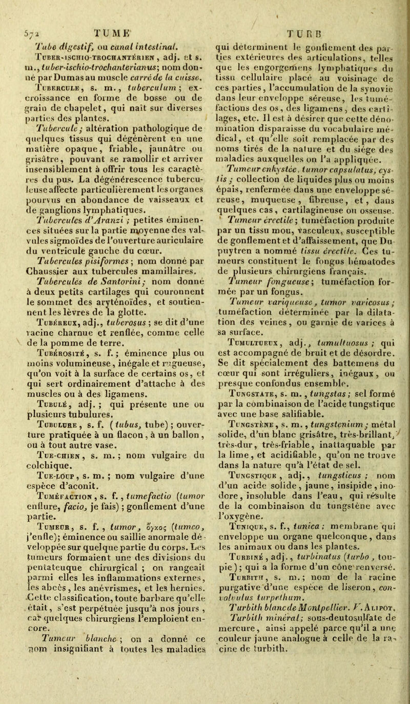 Tube digestif, ou canal intestinal. TüBER-lSCHIO-TROCHANTÉRlEN , adj. fit s. m.^tuber-ischio-trochanterianus; nom don- né par Dumas au muscle carré de ta cuisse. Tubercule, s. m., tuberculum; ex- croissance en forme de bosse ou de grain de chapelet, qui naît sur diverses parties des plantes. Tubercule; altération pathologique de quelques tissus qui dégénèrent en une matière opaque, friable, jaunâtre ou grisâtre, pouvant se ramollir et arriver insensiblement à offrir tous les caractè- res du pus. La dégénérescence tubercu- leuse affecte particulièrement les organes pourvus en abondance de vaisseaux et de ganglions lymphatiques. Tubercule s d’Aranzi ; petites éminen- ces situées sur la partie moyenne des val- vules sigmoïdes de l’ouverture auriculaire du ventricule gauche du cœur. Tubercules pisiformes ; nom donné par Chaussier aux tubercules mamillaires. Tubercules de Santorini; nom donné à deux petits cartilages qui couronnent le sommet des aryténoïdes, et soutien- nent les lèvres de la glotte. Tubkheux, adj., tuberosus ; se dit d’une racine charnue et renflée, comme celle de la pomme de terre. Tubérosité, s. f. ; éminence plus ou moins volumineuse, inégale et rugueuse, qu’on voit à la surface de certains os, et qui sert ordinairement d’attache à des muscles ou à des ligamens. Tubulé, adj. ; qui présente une ou plusieurs tubulures. Tubulure , s. f. ( tubus, tube) ; ouver- ture pratiquée à un flacon, à un ballon , ou à tout autre vase. Tue-chien, s. m. ; nom vulgaire du colchique. Tue-loup, s. m. ; nom vulgaire d’une espèce d’aconit. Tuméfaction , s. f., tumefactio (iumor enflure, facio, je fais) ; gonflement d’une partie. Tumeur, s. f. , tumor, oyxoç [tumeo, j’enfle); éminence ou saillie anormale dé veloppée sur quelque partie du corps. Les tumeurs formaient une des divisions du pentateuque chirurgical ; on rangeait parmi elles les inflammations externes, les abcès , les anévrismes, et les hernies. ■Cette classification, toute barbare qu’elle était, s’est perpétuée jusqu’à nos jours , car quelques chirurgiens l’emploient en- core. Tumeur blanche ; on a donné ce îiom insignifiant à toutes les maladies qui déterminent le gonflement des par- ties extérieures des articulations, telles que les engorgerftens lymphatiques du tissu cellulaire placé au voisinage de ces parties, l’accumulation de la synovie dans leur enveloppe séreuse, les tumé- factions des os, des ligamens, des carti- lages, etc. 11 est à désirer que cette déno- mination disparaisse du vocabulaire mé- dical, et qu’elle soit remplacée par des noms tirés de la nature et du siège des maladies auxquelles on l’a appliquée. Tumeur enkystée, tumor capsulatus, cys- iis ; collection de liquides plus ou moins épais, renfermée dans une enveloppe sé- reuse, muqueuse, fibreuse, et, dans quelques cas, cartilagineuse ou osseuse. Tumeur érectile ; tuméfaction produite par un tissu mou, vaeculeux, susceptible de gonflement et d’affaissement, que Du puytren a nommé tissu érectile. Ces tu- meurs constituent le fongus hémalodes de plusieurs chirurgiens français. Tumeur fongueuse; tuméfaction for- mée par un fongus. Tumeur variqueuse , tumor varicosus ; tuméfaction déterminée par la dilata- tion des veines, ou garnie de varices à sa surface. Tumultueux, adj., tumultuosus ; qui est accompagné de bruit et de désordre. Se dit spécialement des battemens du cœur qui sont irréguliers, inégaux, ou presque confondus ensemble. Tungstàte, s. m., tungstas ; sel formé par la combinaison de l’acide tungstique avec une base salifiable. Tungstène, s. m., tungstenium; métal solide, d’un blanc grisâtre, très-brillant, très-dur, très-friable, inattaquable par la lime, et acidifiable, qu’on ne trouve dans la nature qu’à l’état de sel. Tungstique, adj., tungsticus ; nom d’un acide solide, jaune, insipide , ino- dore , insoluble dans l’eau, qui résulte de la combinaison du tungstène avec l’oxygène. Tunique, s. f., iunica; membrane'qui enveloppe un organe quelconque, dans les animaux ou dans les plantes. Turbiné , adj., turbinât us (turbo , tou- pie ) ; qui a la forme d’un cône'renversé. Turbith, s. m.; nom de la racine purgative d’une espèce de liseron, con- voi» ut us turpeihum. Turbith blanc de Montpellier. F. Alipot, Turbith minéral; sous-deutos.ulfàte de mercure, ainsi appelé parce qu’il a une couleur jaune analogue à celle de la ra-* cine de turbith.