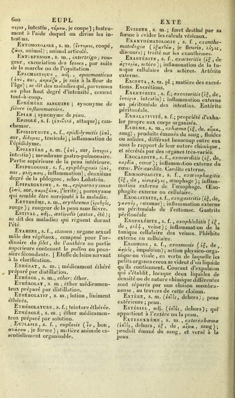 n-tpov, intestin, je coupe) ; instru- ment à l’aide duquel ou divise les in- testins. Entomozoatre , s. m. (evrojuoç, coupé, £à>ov, animal) ; animal articulé. Enti-efesson , s. ni., intertrigo ; rou- geur, excoriation des fesses, par suite de la marche on de l’équitation. Epacmastjqur , adj., epacmasticus SUI > àtcpctfa , je suis à la fleur de 1 âge) ; se dit des maladies qui, parvenues au plus haut degré d’intensité, cessent tout-à-coup. Ephémère sanguine ; synonyme de fièure inflammatoire. Epi an ; synonyme de pian. Epibolé , s. f. , attaque)} cau- chemar. Epididymite , s. f., epididymitis (in), sur > flfupoi , testicule) ; inflammation de l’épididyme. Epientère, s. m. (in), sur, hrtpc.v , intestin) ; membrane gastro-pulmonaire. Partie supérieure de la peau intérieure. Epipheogose. s. f., epiph/ogosis (in), sur , pxoyaxriç, inflammation) ; deuxième degré de la phlogose , selon Lobstein. > Epiparoxysme , s. m., epiparoxysmus (ê/rr), sur, netpûfjya>, j’irrite)5 paroxysme qui semble être surajouté à la maladie. Erythrême, s. m., erythrema (ipuùçoç, rouge ) ; rougeur de la peau sans fièvre. Estival , adj., œstiualis (œstas, été) ; se dit des maladies qui lèguent durant l’été. Etamine , s. f., stamen ; organe sexuel mâle des végétaux , composé pour l’or- dinaire du filet, de l’anthère ou partie supérieure contenant le pollen ou pous- sière fécondante. J Etoffe de laine servant à la clarification. Ethérat, s. m. ; médicament éthéré préparé par distillation. Ethérol , s. m., ether; éther. Ethérolat , s. m - éther médicamen- teux préparé par distillation. Ethérolatif, s. m.; lotion, liniment étbérés. Ethérolature , s. f.; teinture éthérée. Ethérolé, s. m. ; éther médicamen- teux préparé par solution. Euplasie, s. f. , euplasis (ît/, bon, n\A<rcru> , je forme ) ; matière animale es- sentiellement organisable. EX TE Evideur , s. m.} foret destiné par sa forme a évider les calculs vésicaux. Exanthêmatologie , s. f , exanlhe- matologia ( igctvQéa , je fleuris, xlyoç, discours) ; traité sur les exanthèmes. Exartérite, s. f., exarterilis (è|, de àç'THpîct, artère); inflammation de la tu- nique cellulaire des altères. Artérite externe. Excréta , s. m. pl. j matière des excré- tions. Excrétions. „ Exentérite , s. f.; exenterilis (If, de, êVTêfo». intestin) ; inflammation externe ou peritoneale des intestins. Entérite péritonéale. Exhalativite, s. f.; propriété d’exha- ler propre aux corps organisés. Exhème, s. m., exhœrna (i%, de, aî/uiaL, sanS) ’ produits émanés du sang , fluides ou solides, différant beaucoup entre eux sous le rapport de leur nature chimique , et sécrétés par des organes très-variés. Exocardite, 5. f., exocarditis (if-, de, cœur); inflammation externe du cœur. Péricardite. Cardite externe. Exûesopiiagïte , s. f., exœsophagitis (s|, de, oicroipxyoç, œsophage); inflam- mation externe de l'oesophage. Œso- phagite excerne ou cellulaire. Exogastrite, s. f., exogastrilis (i%, de, yetany, estomac); inflammation externe ou péritonéale de l’estomac. Gastrite péritonéale Exophlèbite , s. f. , exoplilebitis ( £’f, de ,' phèyf,, veine); inflammation de la tunique cellulaire des veines. Phlébite externe eu cellulaire. Exosmose , s. f., exosmosis ( i%, de , à>flu(jç, impulsion); action physico-orga- nique ou vitale , en vertu de laquelle les pe ti f s organes creux se vident d’un liquide qu ils contiennent. Courant d’expulsion qui s’établit, lorsque deux liquides de densité ou de nature chimique différentes sont séparés par une cloison membra- neuse , au travers de cette cloison. Extère, s. m. (éxlcç, dehors); peau extérieure ; peau. Extèriel , adj. (èx7oç, dehors); qui’ appartient à Vextère ou la peau. Exterexhème , s. m., ex ter exhœma (ixlcç, dehors , é| , de , aîjua., sang ) ; produit émané du sang, et versé a la peau.