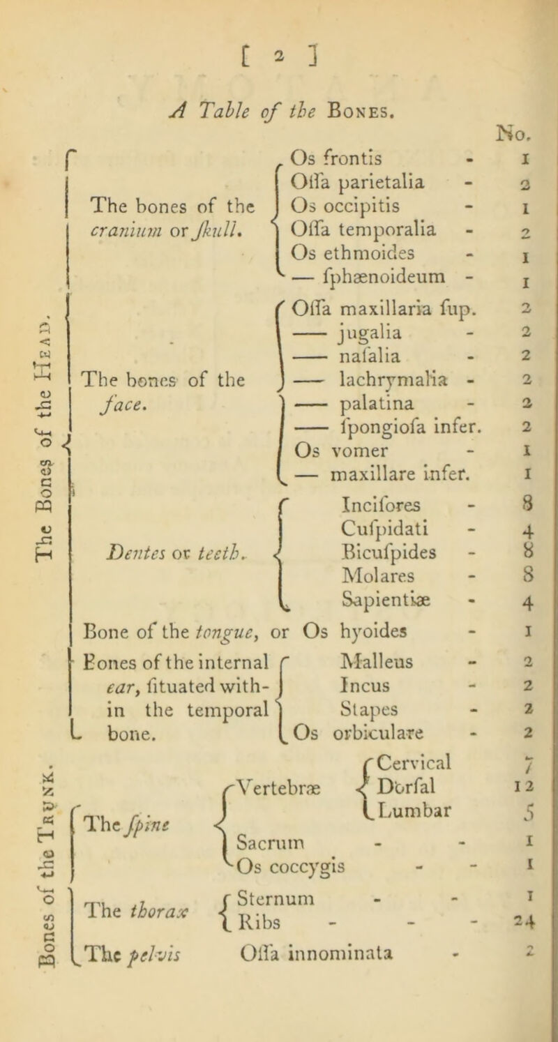 Bones of theTaysK. The Bones of the Head. Table of the Bones. The bones of the cranium or Jkull. The bones of the face. Os frontls OlVa parietal!a Os occipitis OlTa temporalla Os ethmoides — fphaenoideum - ( OlTa maxillaria fup. 1 jugalia \ naialia J — lachrjmaKa - palatina fpongiofa infer. Os vomer — maxillare infer. Dentes or teeth. Incifores Cufpidati Bicufpides Mol ares Sapientiae Bone of the tongue, or Os hyoides i Bones of the internal f ear, fituated with- j in the temporal j L bone. tOs 'Vertebra The fpmt The thorax The gel-vis Malleus Incus Stapes orbiculare r Cervical / D'orfal (.Lumbar Sacrum Os coccygis {Sternum Ribs Oll'a innominata No, 1 2 1 «> 1 1 0 2 2 2 2 2 1 I 8 5 I 1 I 24 ix'-r 1-I4.-00 OC4-