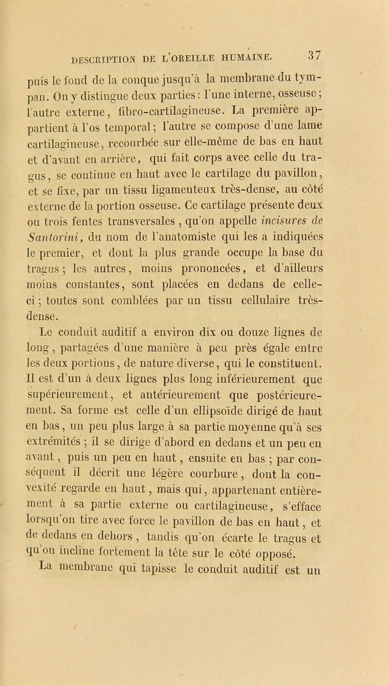 puis le fond de la conque jusqu’à la membrane du tym- pan. On y distingue deux parties: l'une interne, osseuse; l’autre externe, libro-cartilagineuse. La première ap- partient à l’os temporal; l’autre se compose d’une lame cartilagineuse, recourbée sur elle-même de bas en haut et d’avant en arrière, qui fait corps avec celle du tra- gus, se continue en haut avec le cartilage du pavillon, et se fixe, par un tissu ligamenteux très-dense, au côté externe de la portion osseuse. Ce cartilage présente deux ou trois fentes transversales , qu’on appelle incisures de Santorini, du nom de l’anatomiste qui les a indiquées le premier, et dont la plus grande occupe la base du tragus ; les autres, moins prononcées, et d’ailleurs moins constantes, sont placées en dedans de celle- ci ; toutes sont comblées par un tissu cellulaire très- dense. Le conduit auditif a environ dix ou douze lignes de long, partagées d’une manière à peu près égale entre les deux portions, de nature diverse, qui le constituent. Il est d’un à deux lignes plus long inférieurement que supérieurement, et antérieurement que postérieure- ment. Sa forme est celle d’un ellipsoïde dirigé de haut en bas, un peu plus large à sa partie moyenne qu’à ses extrémités ; il se dirige d’abord en dedans et un peu en avant, puis un peu en haut, ensuite en bas ; par con- séquent il décrit une légère courbure, dont la con- vexité regarde en haut, mais qui, appartenant entière- ment à sa partie externe ou cartilagineuse, s’efface lorsqu’on tire avec force le pavillon de bas en haut, et de dedans en dehors , tandis qu’on écarte le tragus et qu on incline fortement la tète sur le côté opposé. La membrane qui tapisse le conduit auditif est uu