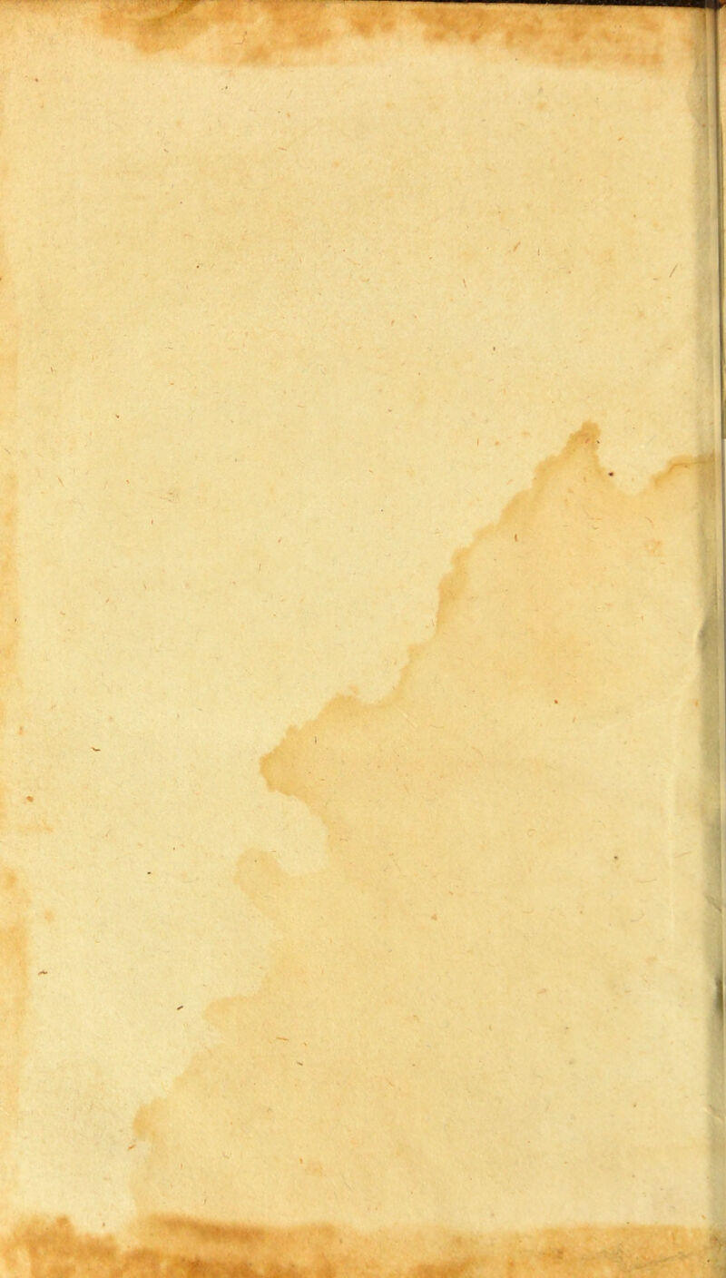 ■*A. y > ( M 4 f V . N t J • I C A > !<’ ■j-y-- )