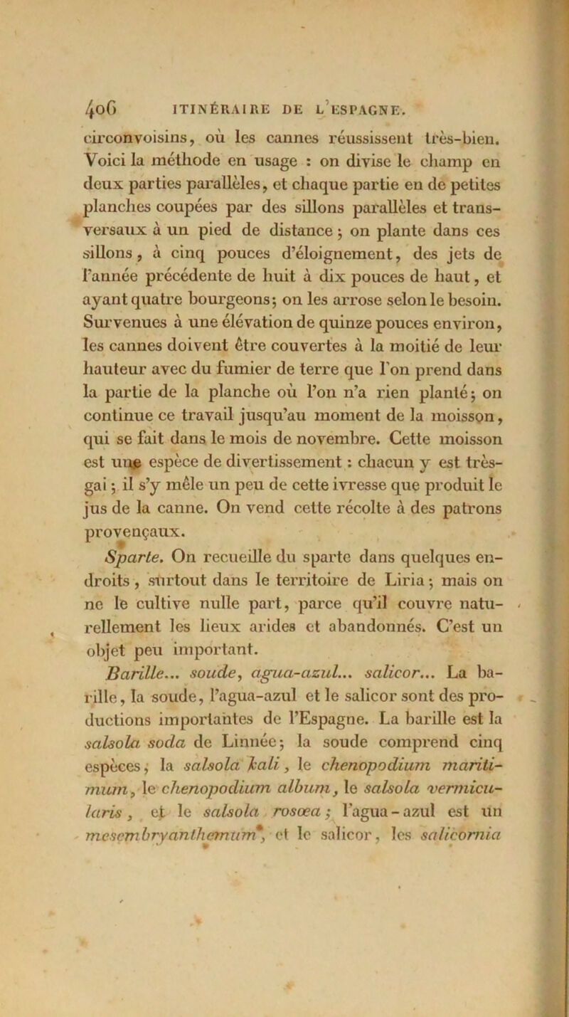 eirconvoisins, où les cannes réussissent très-bien. Voici la méthode en usage : on divise le champ en deux parties parallèles, et chaque partie en de petites planches coupées par des sillons parallèles et trans- versaux à un pied de distance ; on plante dans ces sillons, à cinq pouces d’éloignement, des jets de l’année précédente de huit à dix pouces de haut, et ayant quatre bourgeons; on les arrose selon le besoin. Survenues à une élévation de quinze pouces environ, les cannes doivent être couvertes à la moitié de leur hauteur avec du fumier de terre que l’on prend dans la partie de la planche où l’on n’a rien planté; on continue ce travail jusqu’au moment de la moisson, qui se fait dans le mois de novembre. Cette moisson est une espèce de divertissement : chacun y est très- gai ; il s’y mêle un peu de cette ivresse que produit le jus de la canne. On vend cette récolte à des patrons provençaux. Sparte. On recueille du sparte dans quelques en- droits , surtout dans le territoire de Liria ; mais on ne le cultive nulle part, parce qu’il couvre natu- « Tellement les lieux arides et abandonnés. C’est un objet peu important. Barille... soude, agua-azul... salieor... La ba- rille, la soude, l’agua-azul et le salieor sont des pro- ductions importantes de l’Espagne. La barille est la salsola soda de Linnée; la soude comprend cinq espèces, la salsola Icali, le chenopodium mariti- mum, le chenopodium album, le salsola vermicu- laris, e£ le salsola rosæa ; l'agua-azul est un mesemhryanthemum*, et le salieor, les salieornia