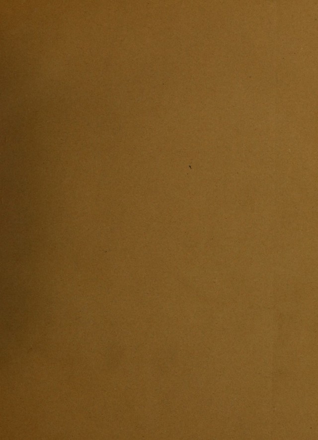 digitised image 3