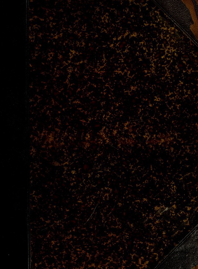 digitised image 1