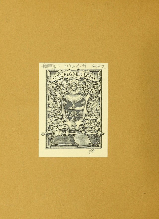 digitised image 2